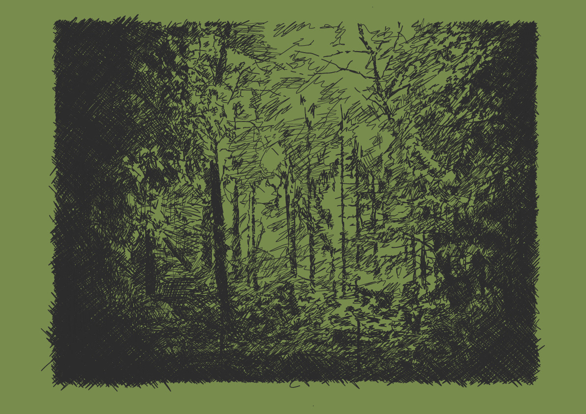'Forest'
