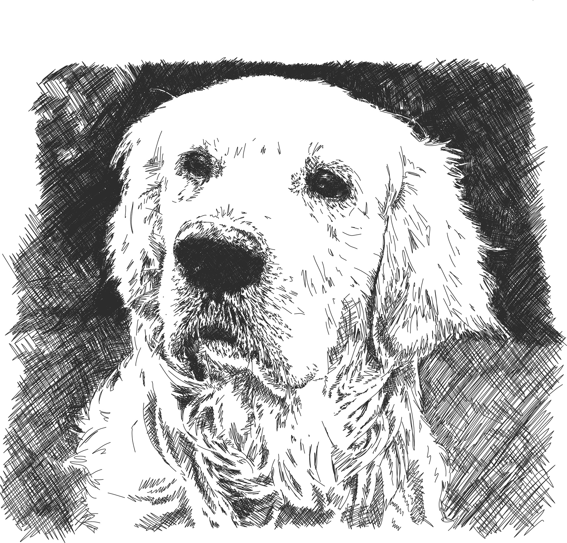 Commissioned portrait