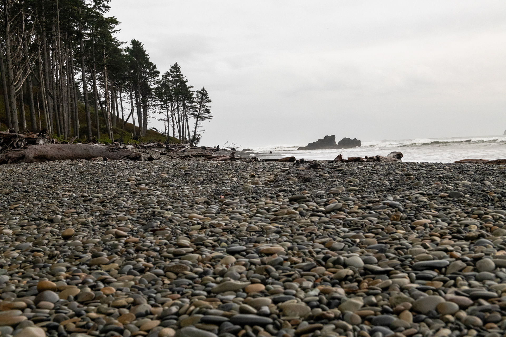 Ruby Beach - Kalaloch - Cedar creek