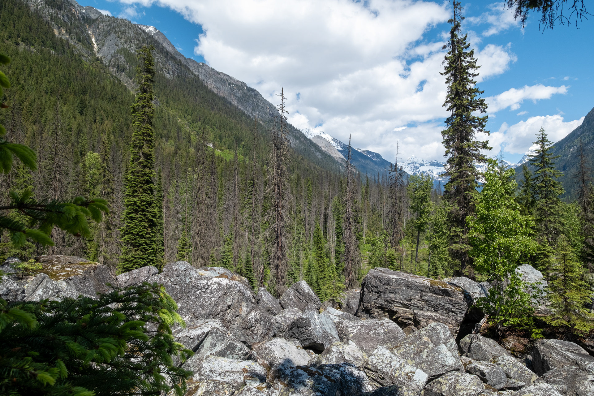 Glacier Nat. Park - "jardín de piedras" (rockgarden)