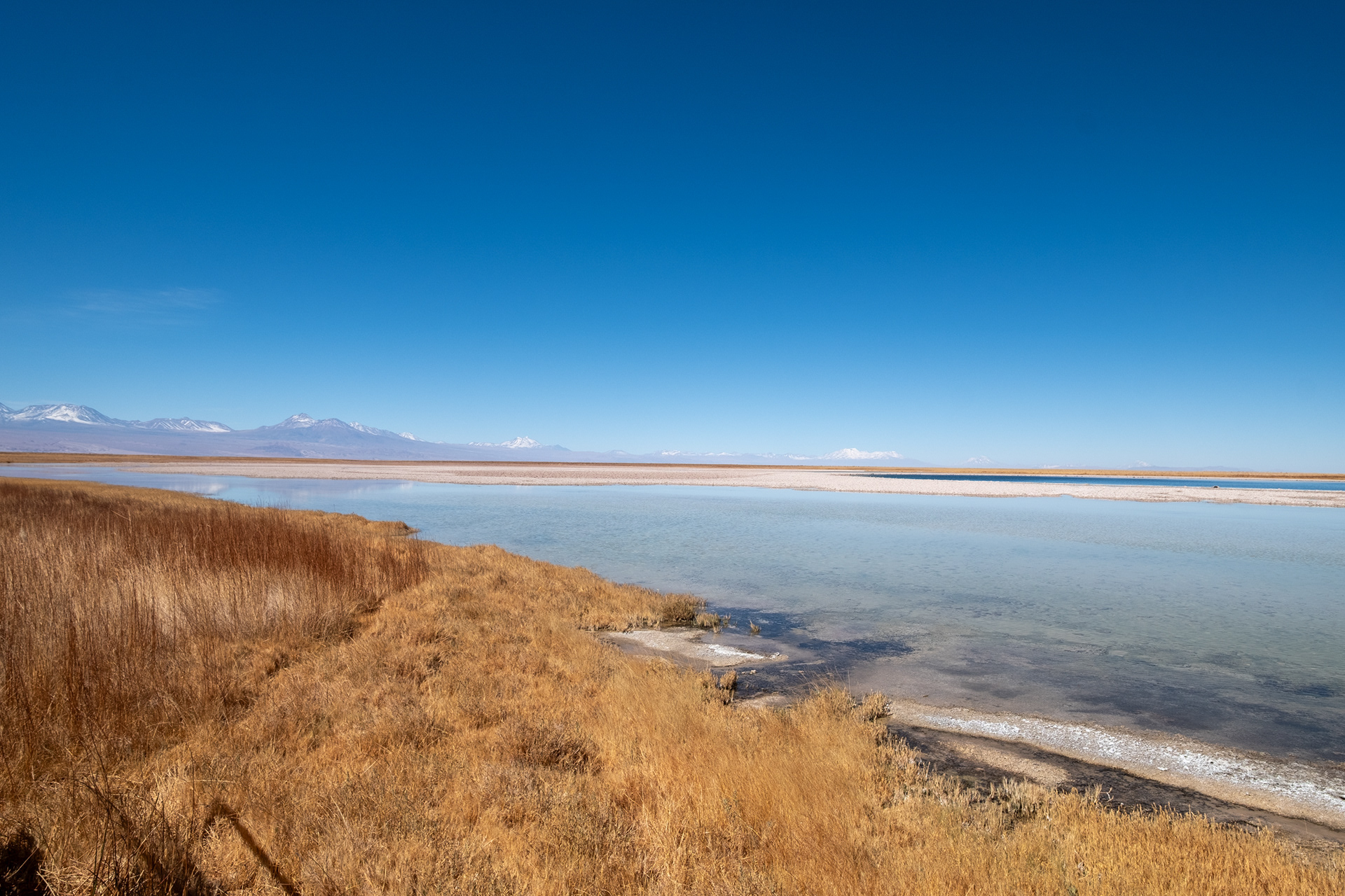 Laguna Cejar