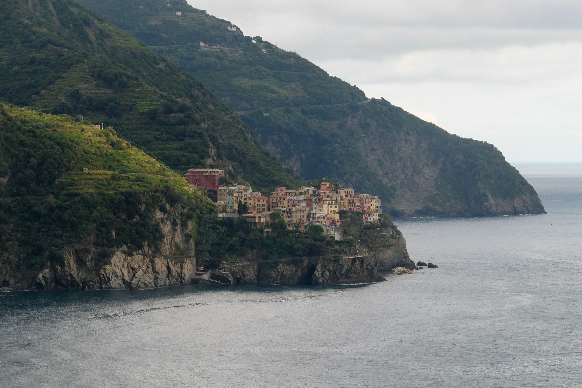 Manarola, desde Corniglia