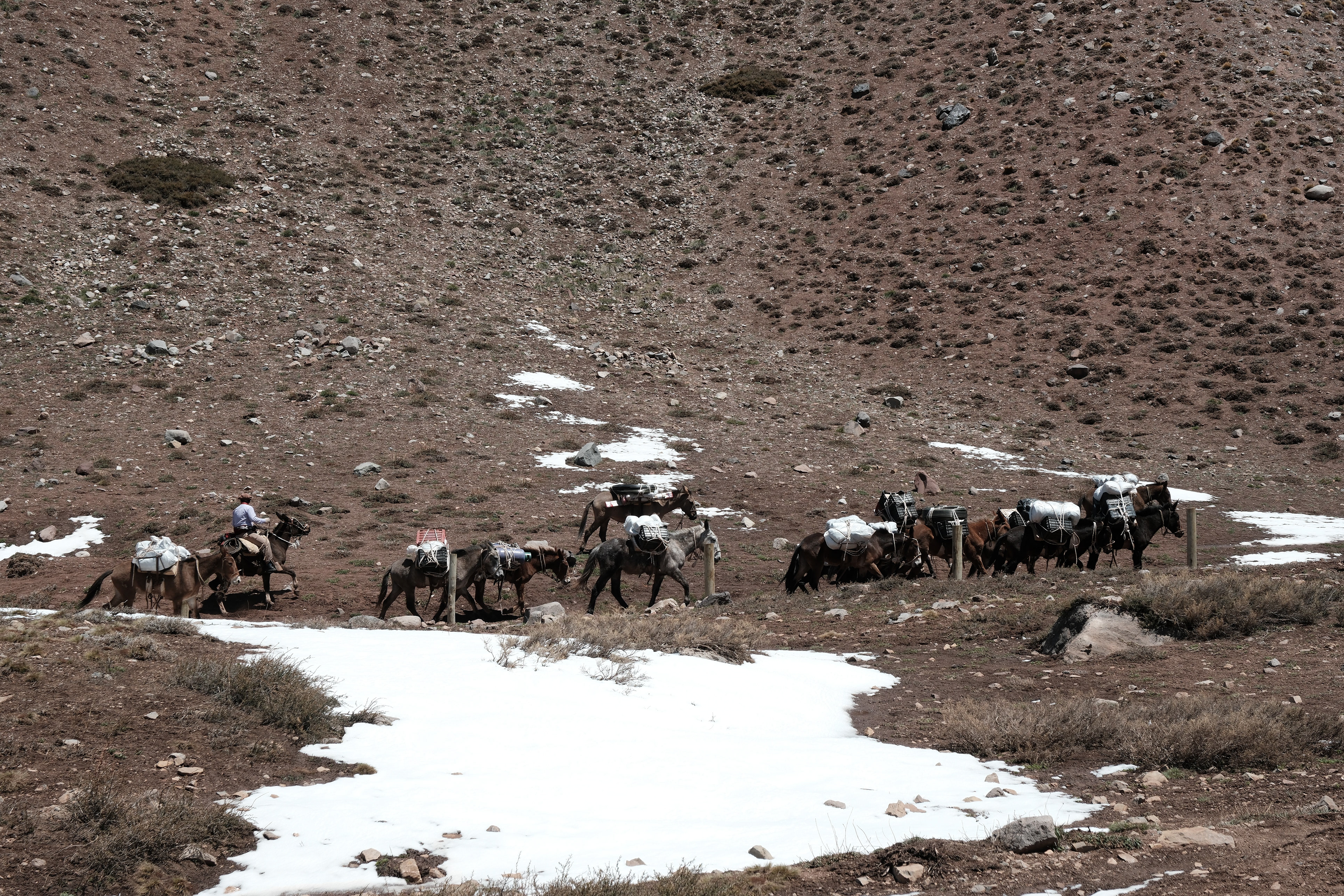 Parque Provincial Aconcagua