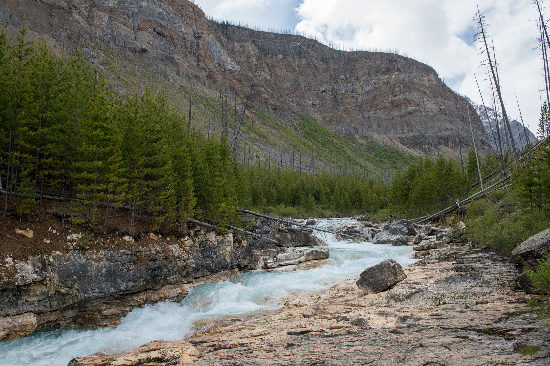 Marble Canyon (cañón) - Kootenai Nat. Park