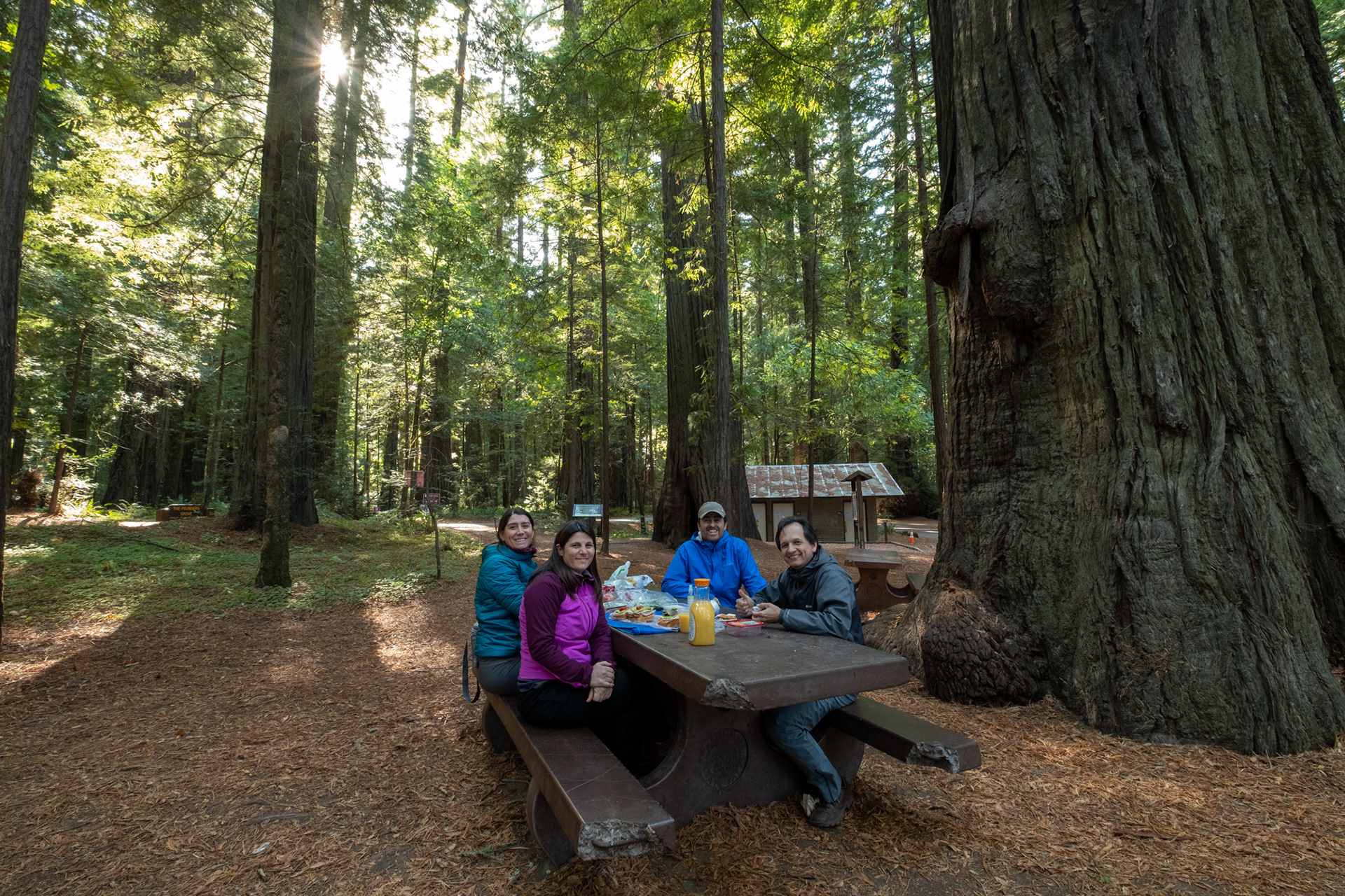  Humboldt Redwoods - Founder's grove