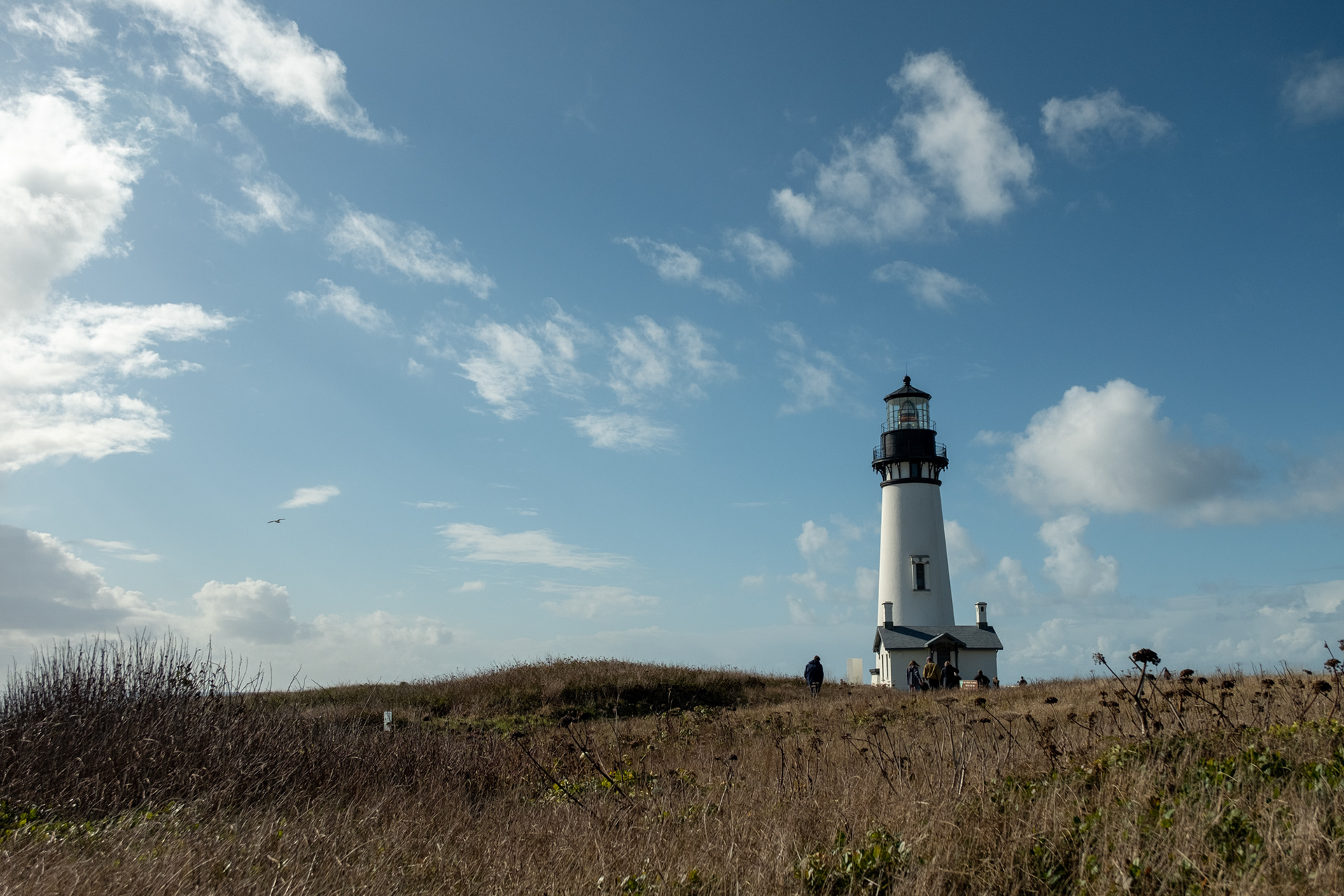Faro Yaquina Head, OR
