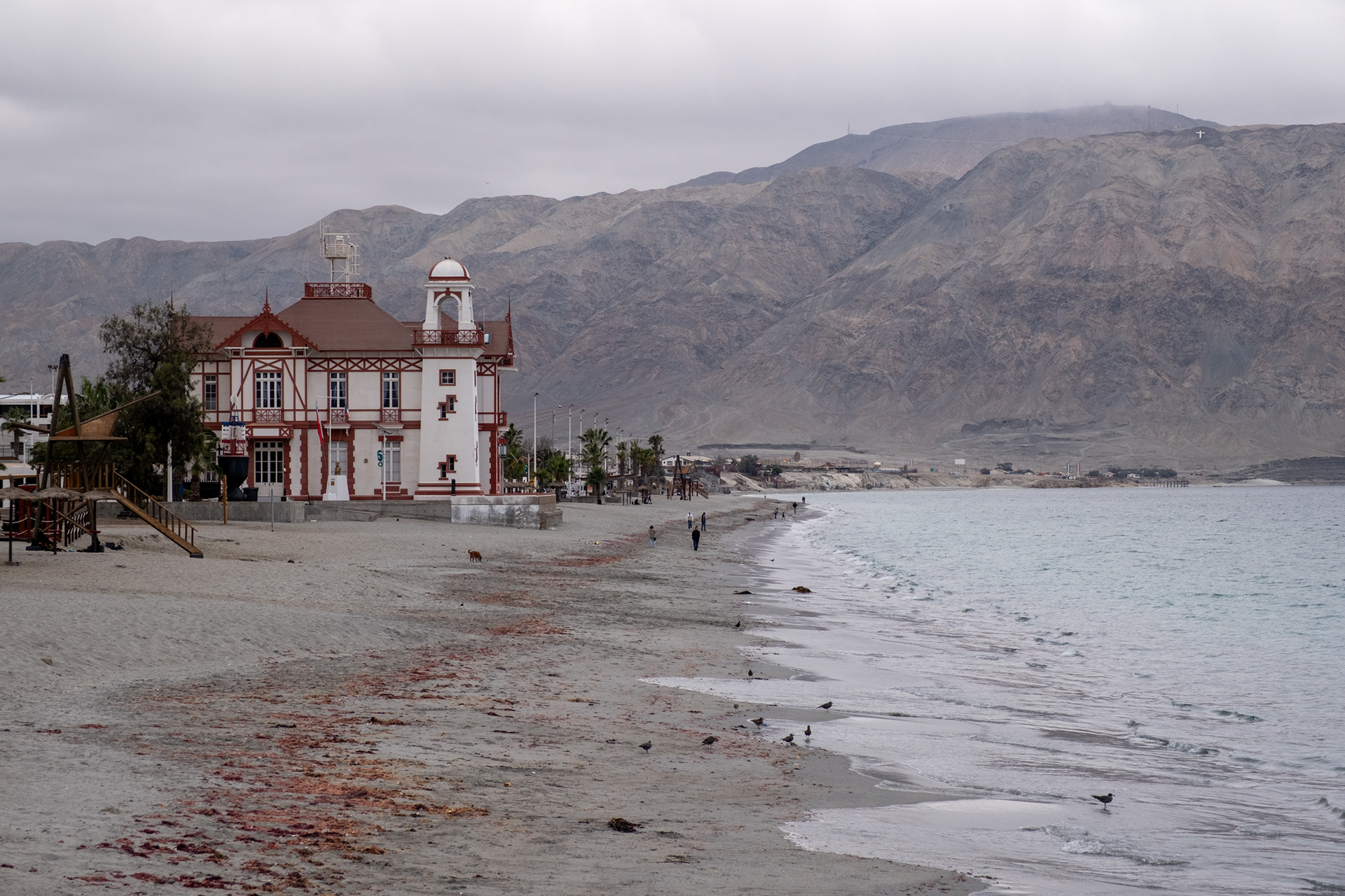 Mejillones