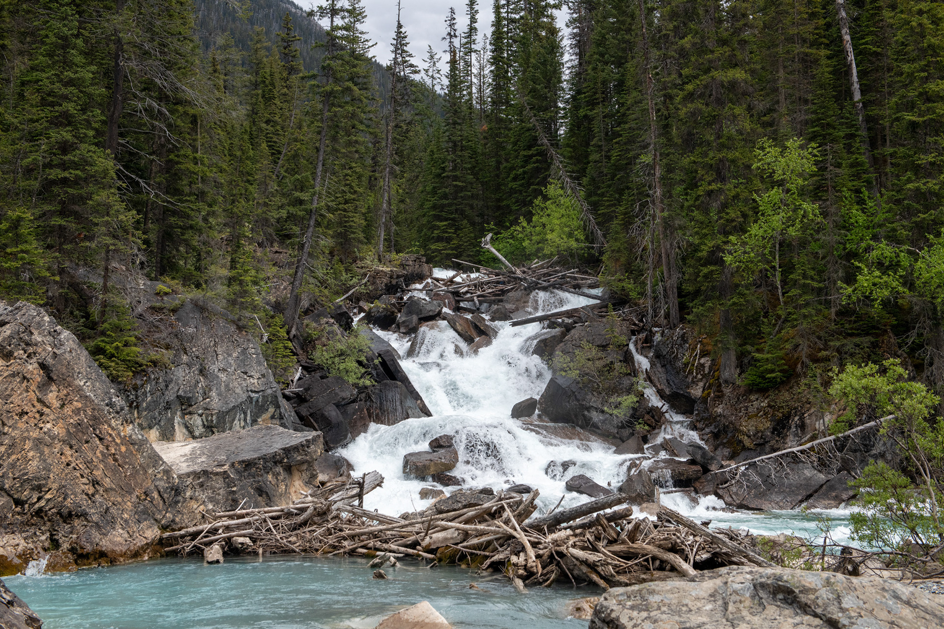Ríos Yoho y Kicking Horse