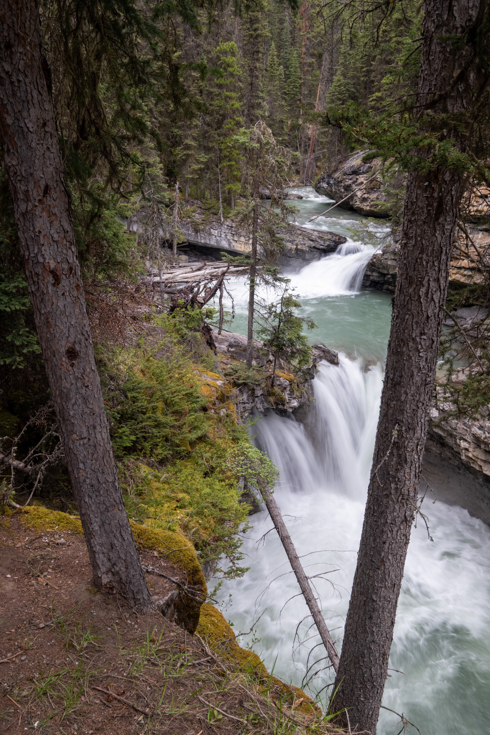Johnston Canyon - Lowerr Falls