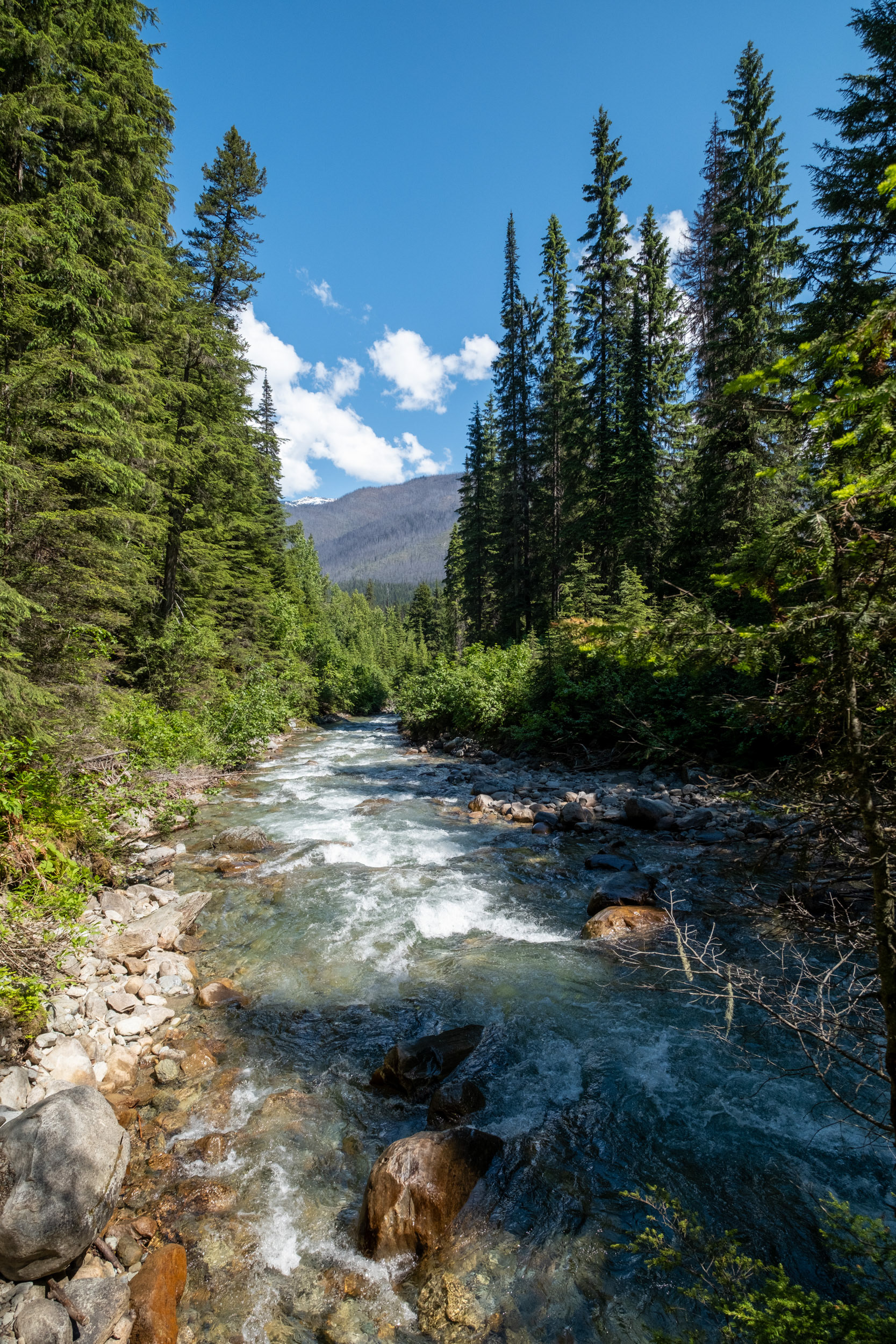 Glacier Nat. Park - Bear Creek Falls