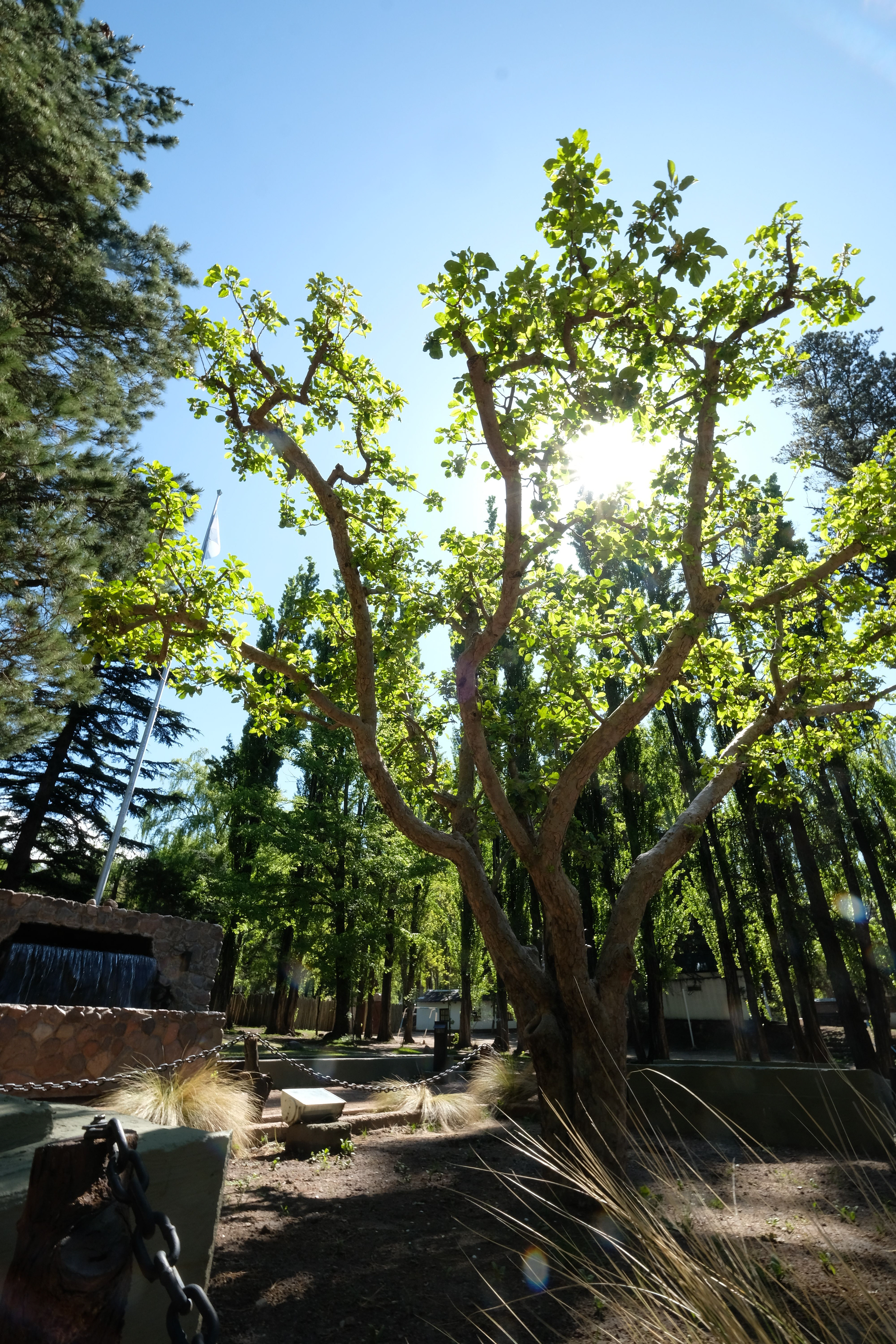 El Manzano Histórico