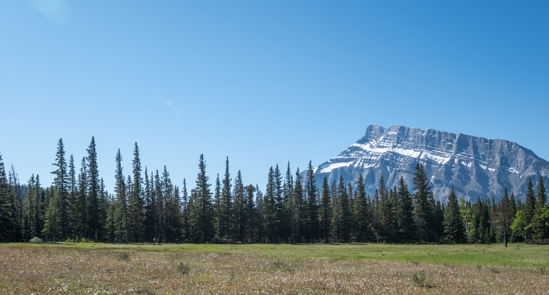 Monte Rundle