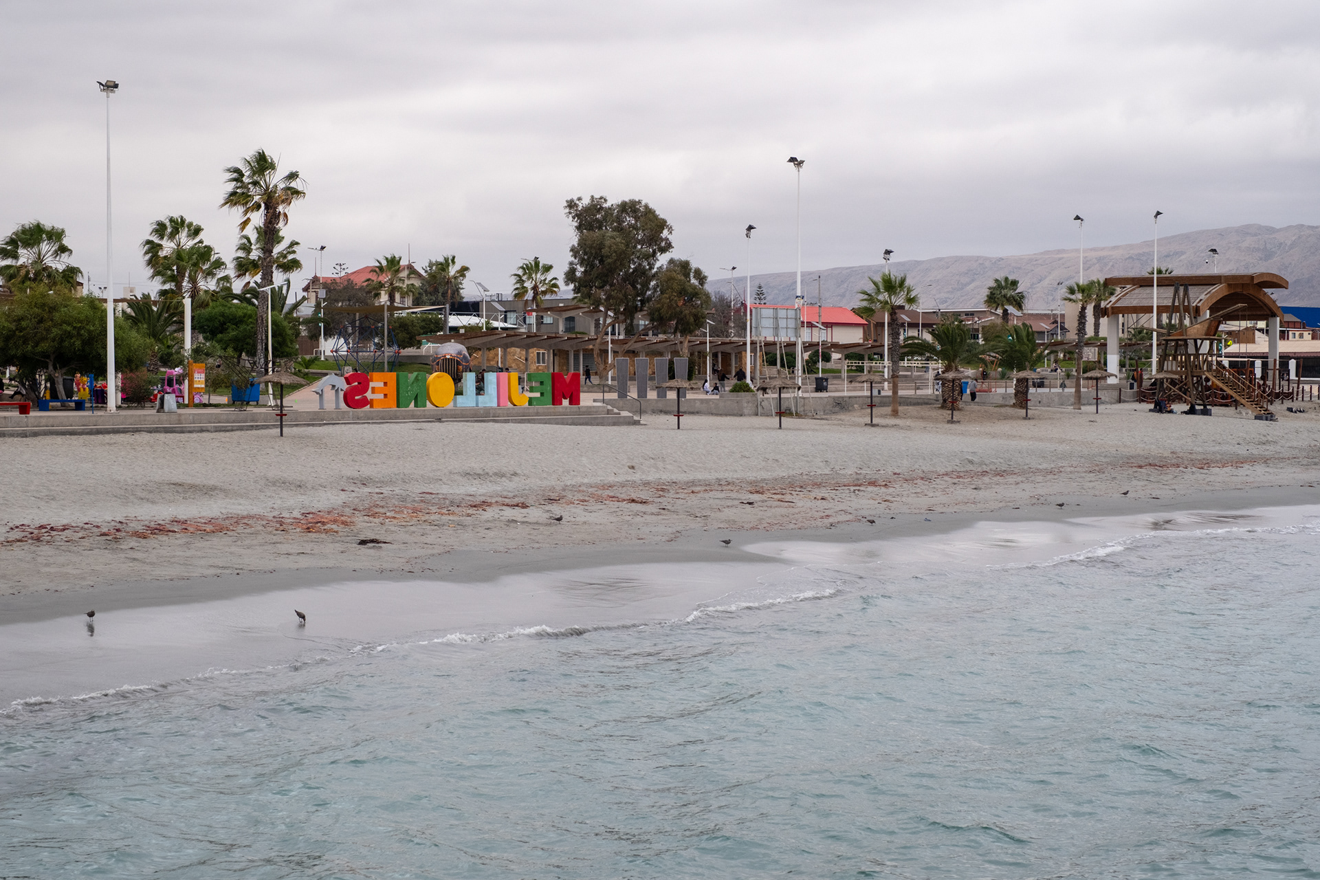 Mejillones