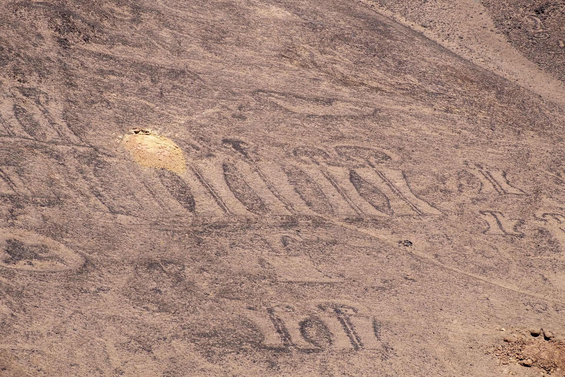 Geoglifos de Pintados