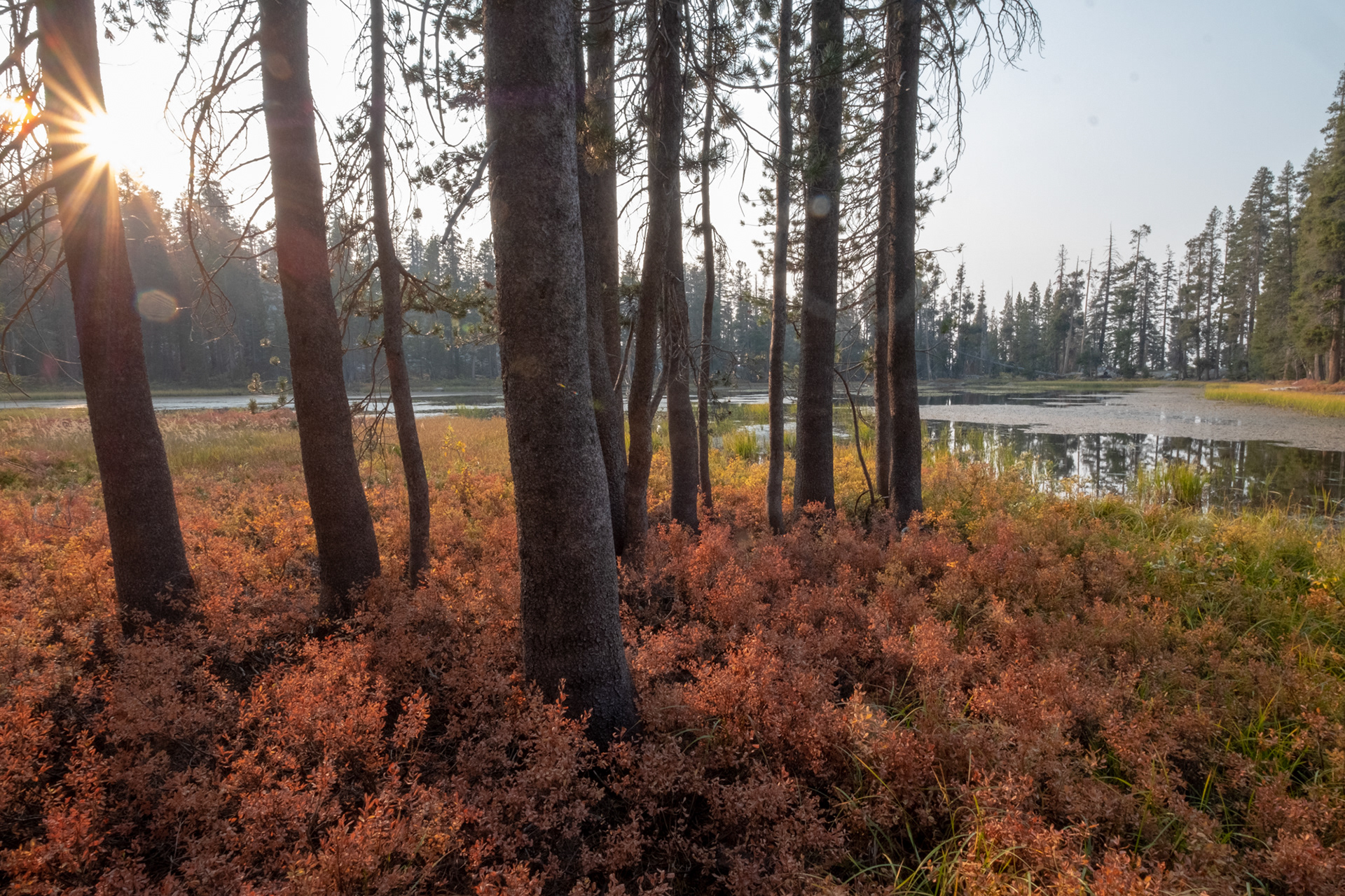 Yosemite - otro laguito