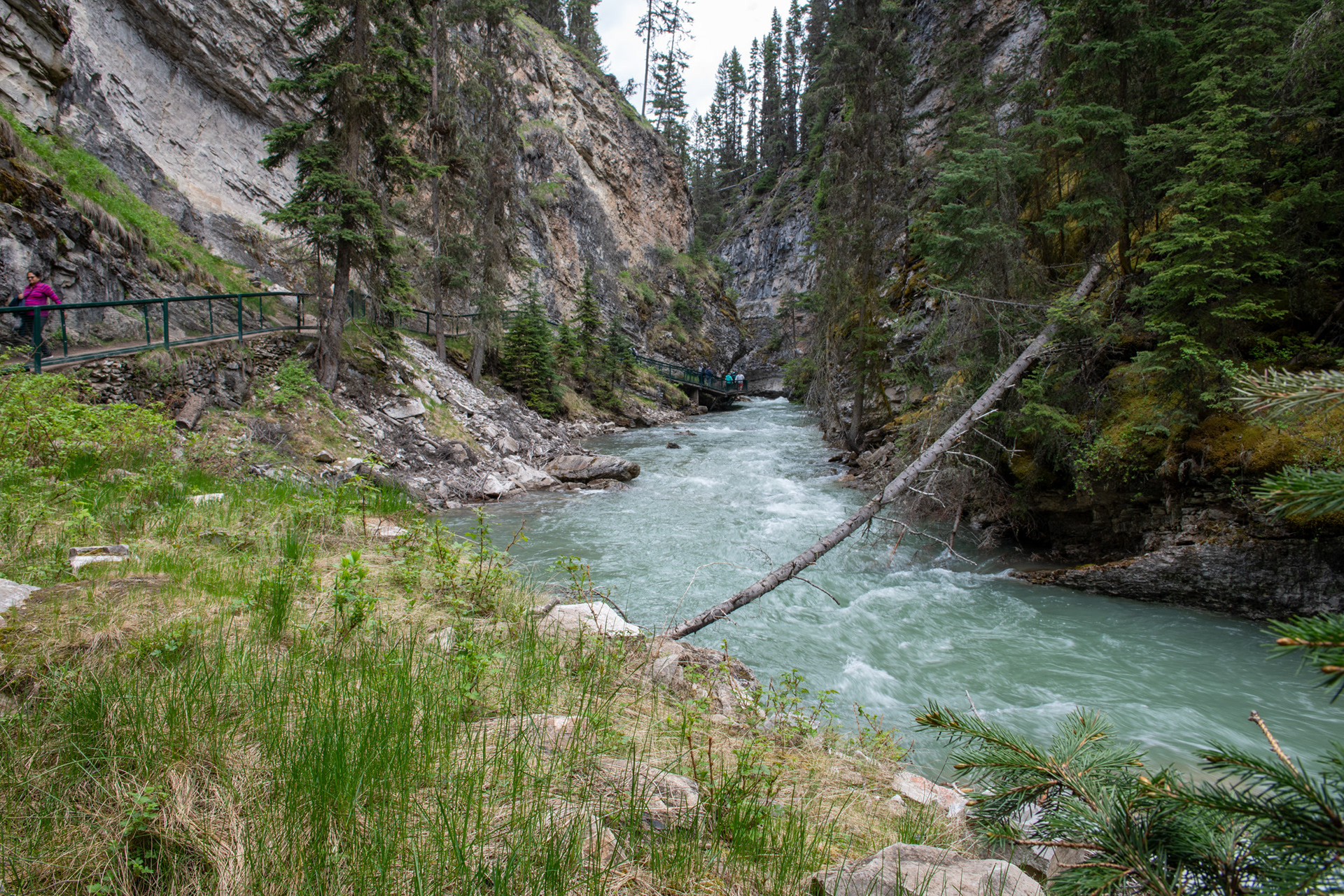 Johnston Canyon