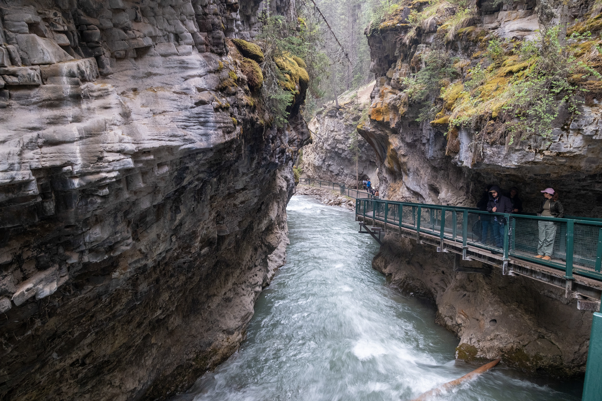Johnston Canyon