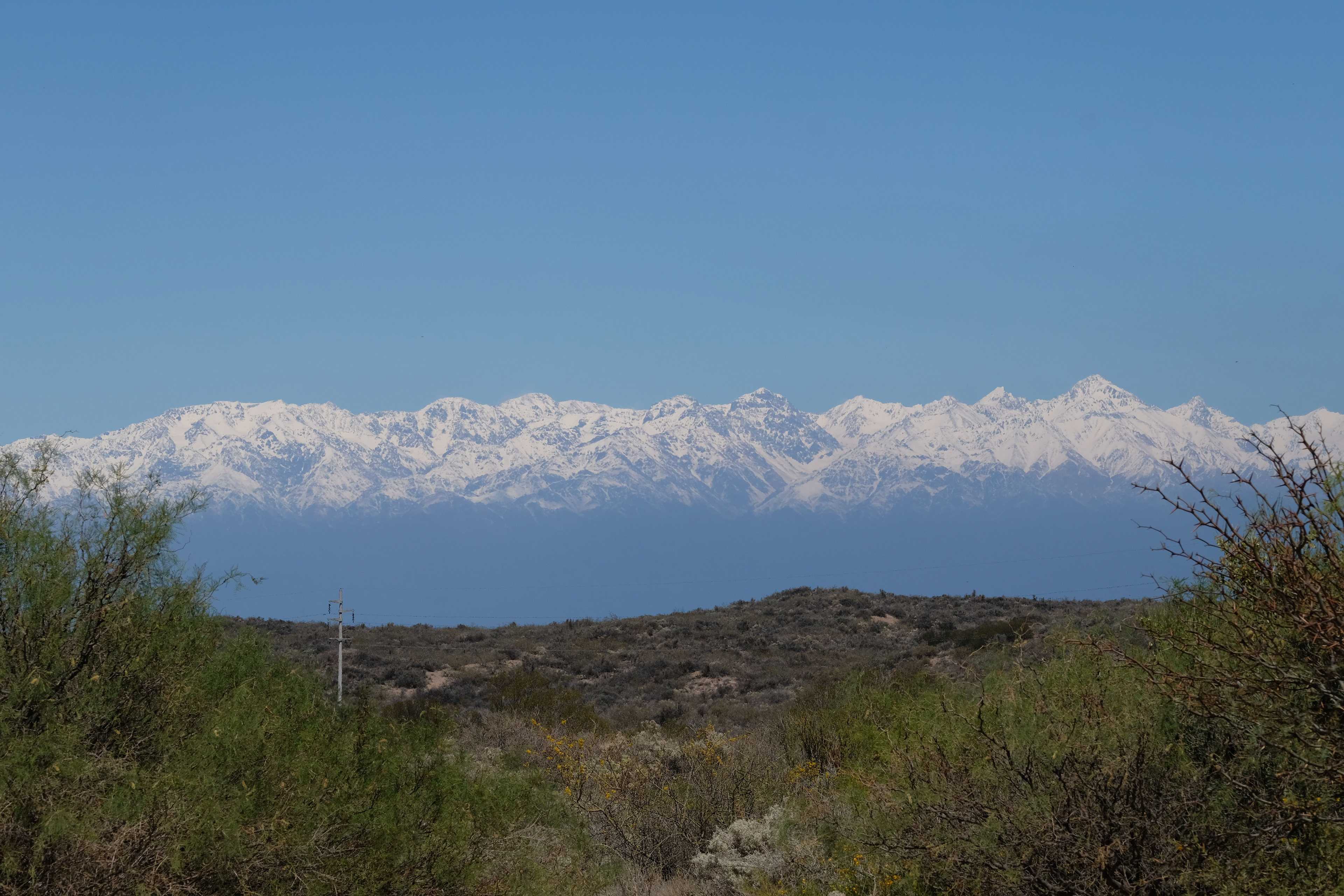 El Carrizal de Abajo