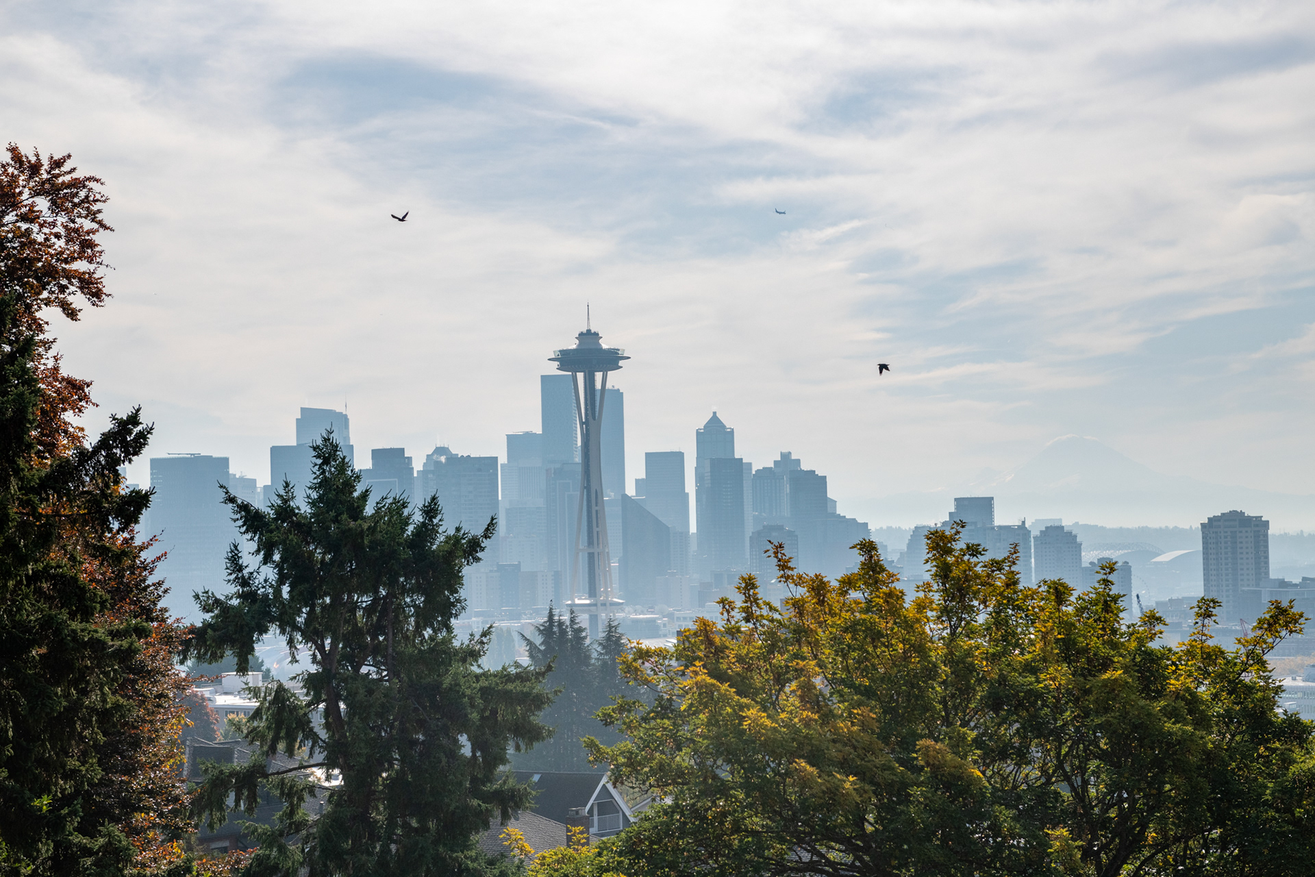 Vista desde el Kerry Park, Seattle
