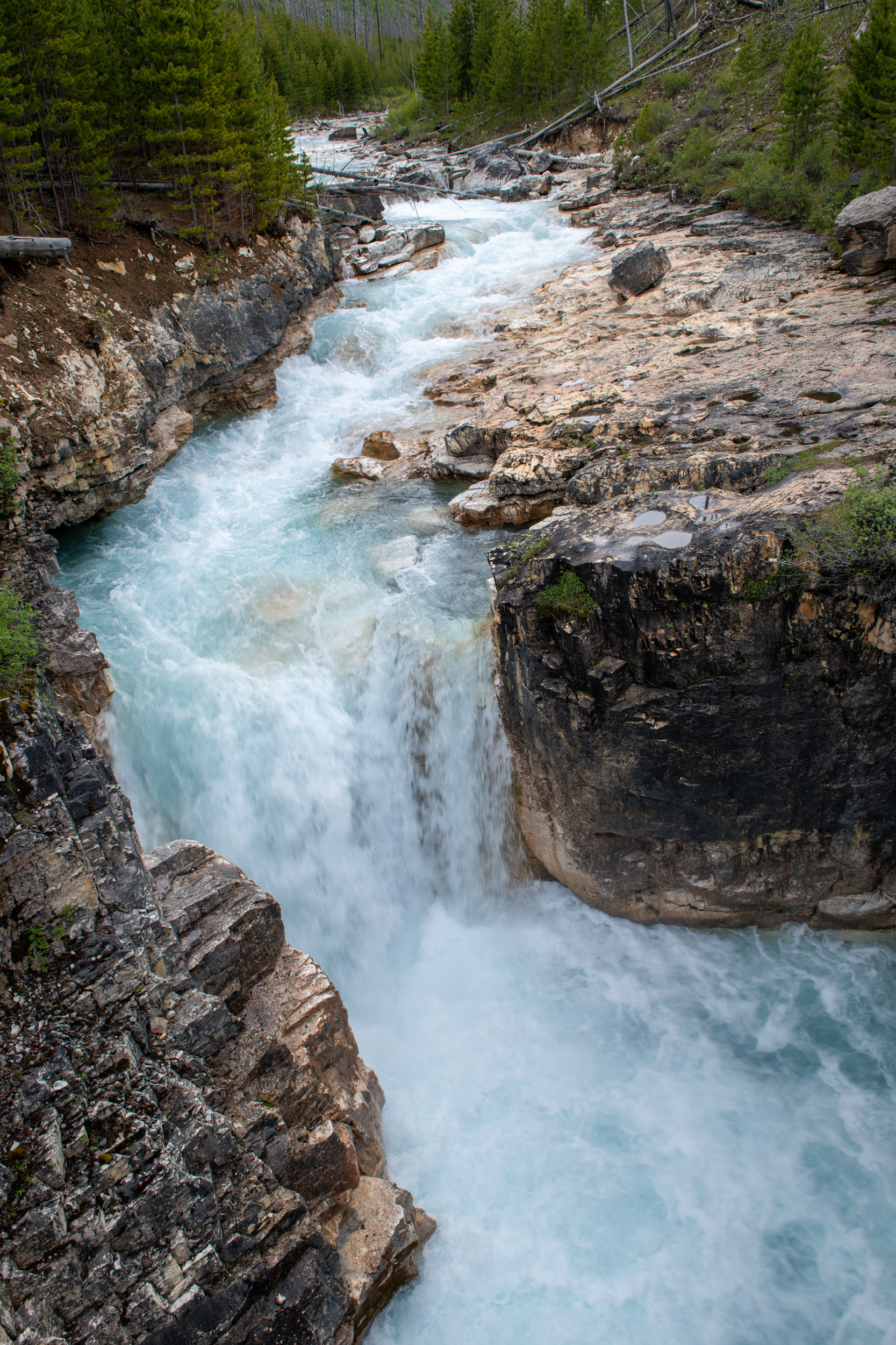 Marble Canyon (cañón) - Kootenai Nat. Park