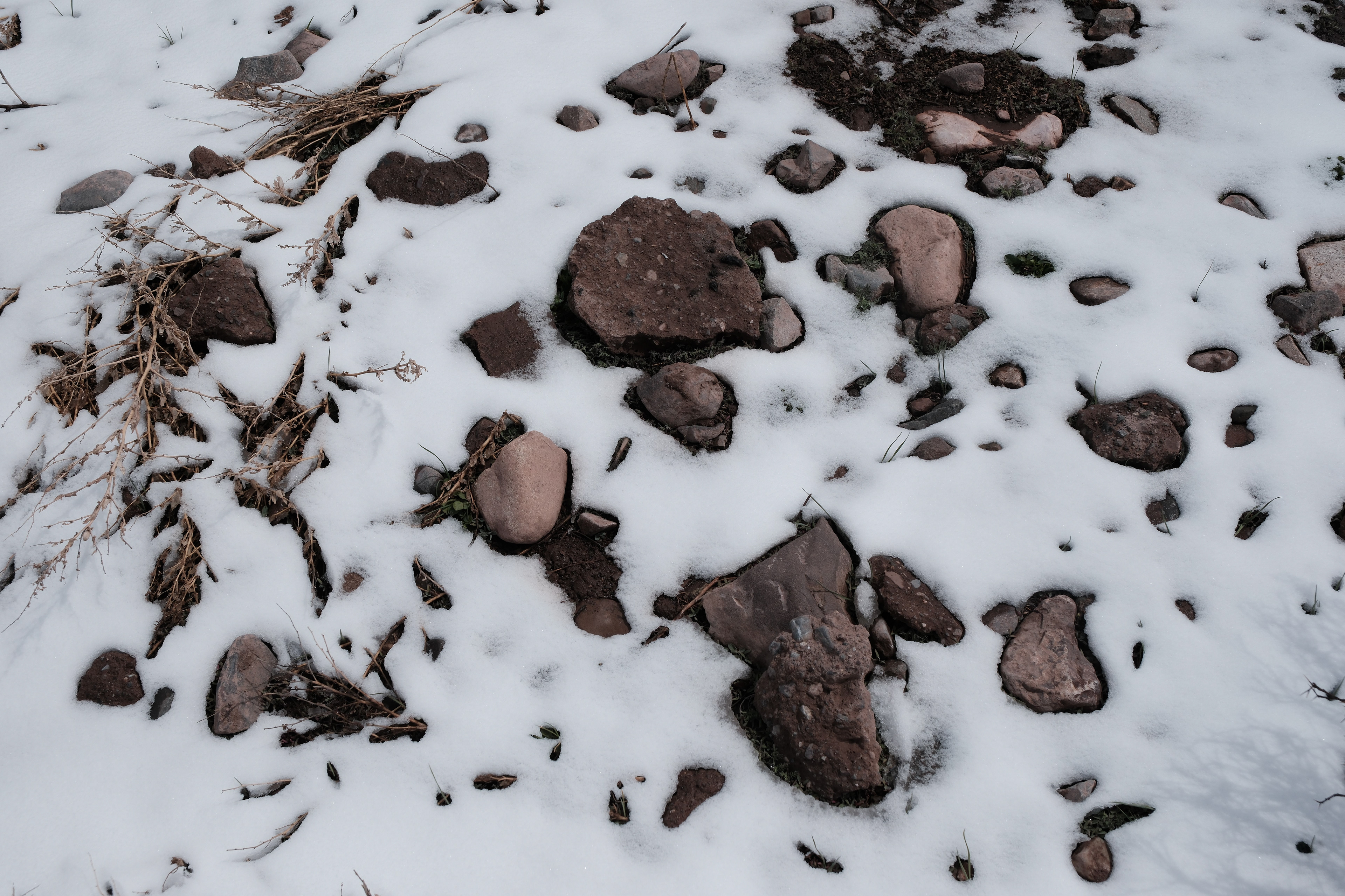 Nevada en Puente del Inca