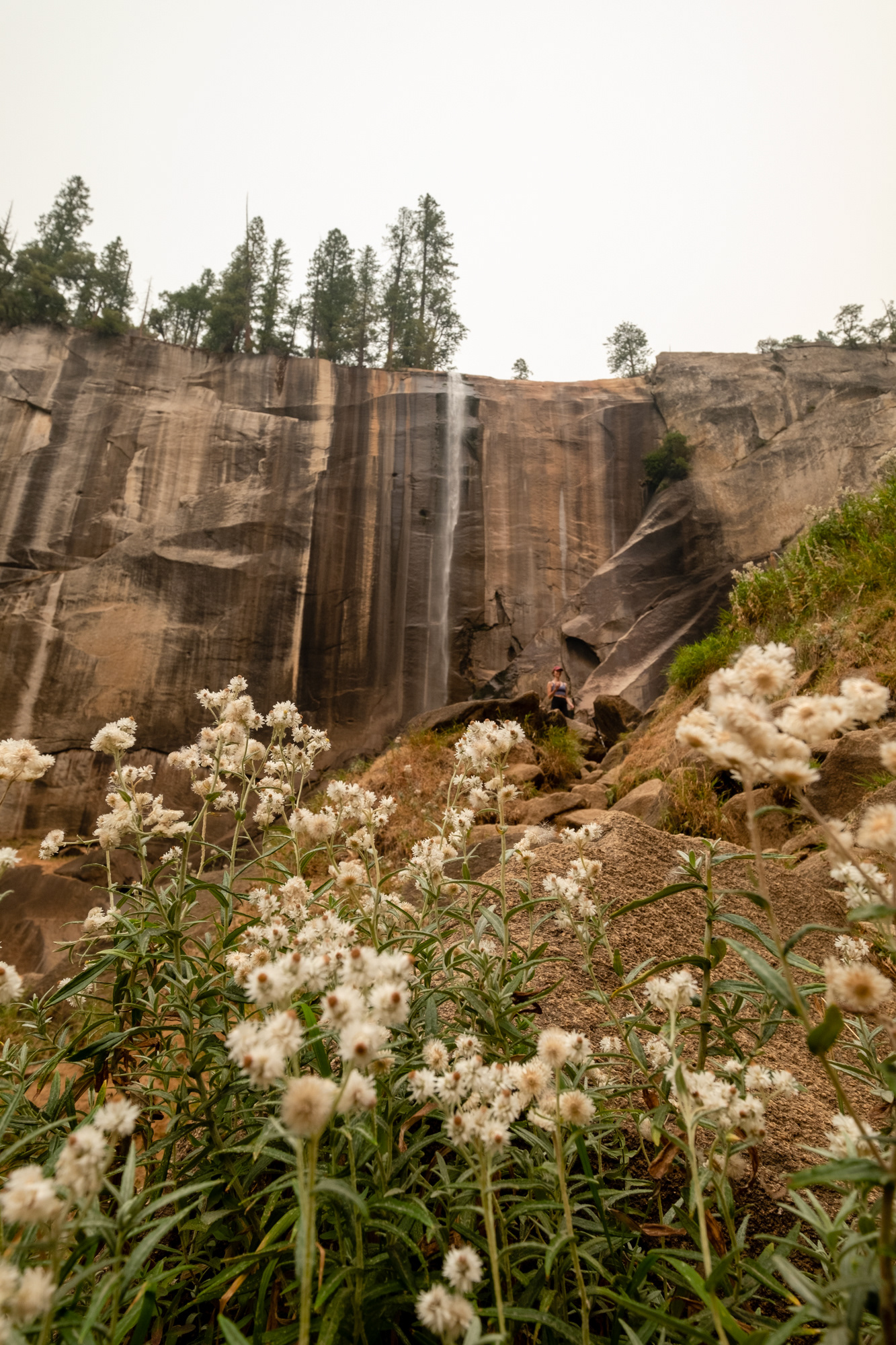 Yosemite - cascada Vernal