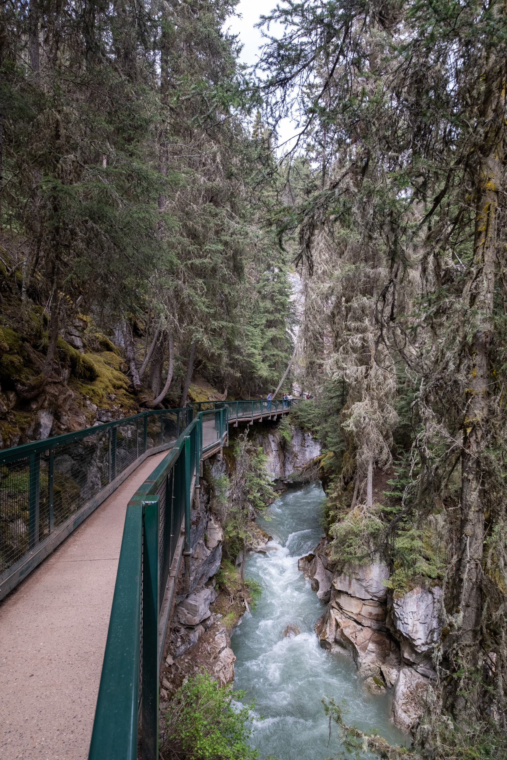 Johnston Canyon