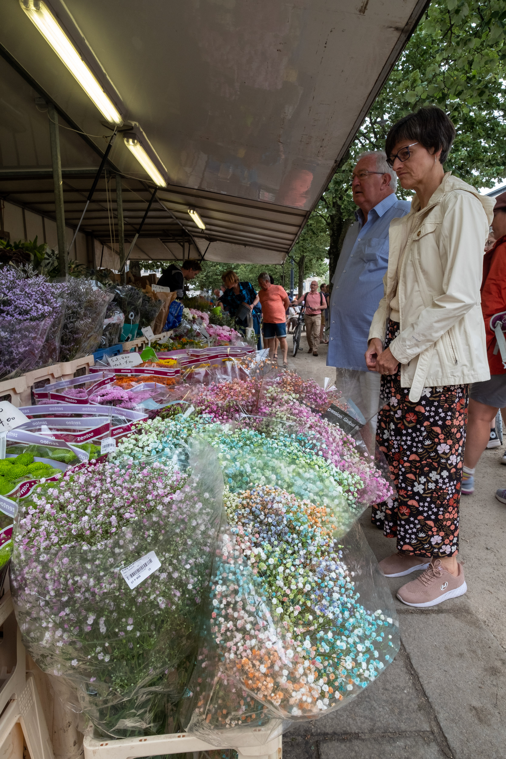 Plaza Kouter y mercado de flores (domingo)