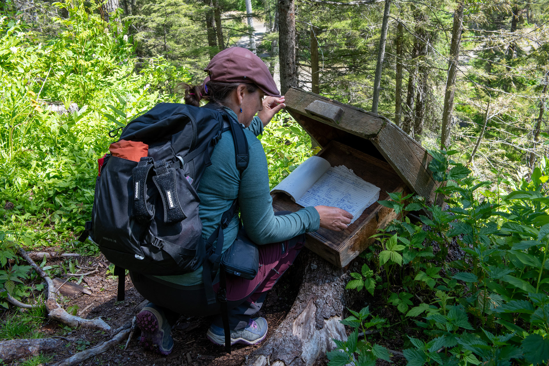 Bucle Brook - registro de visitantes