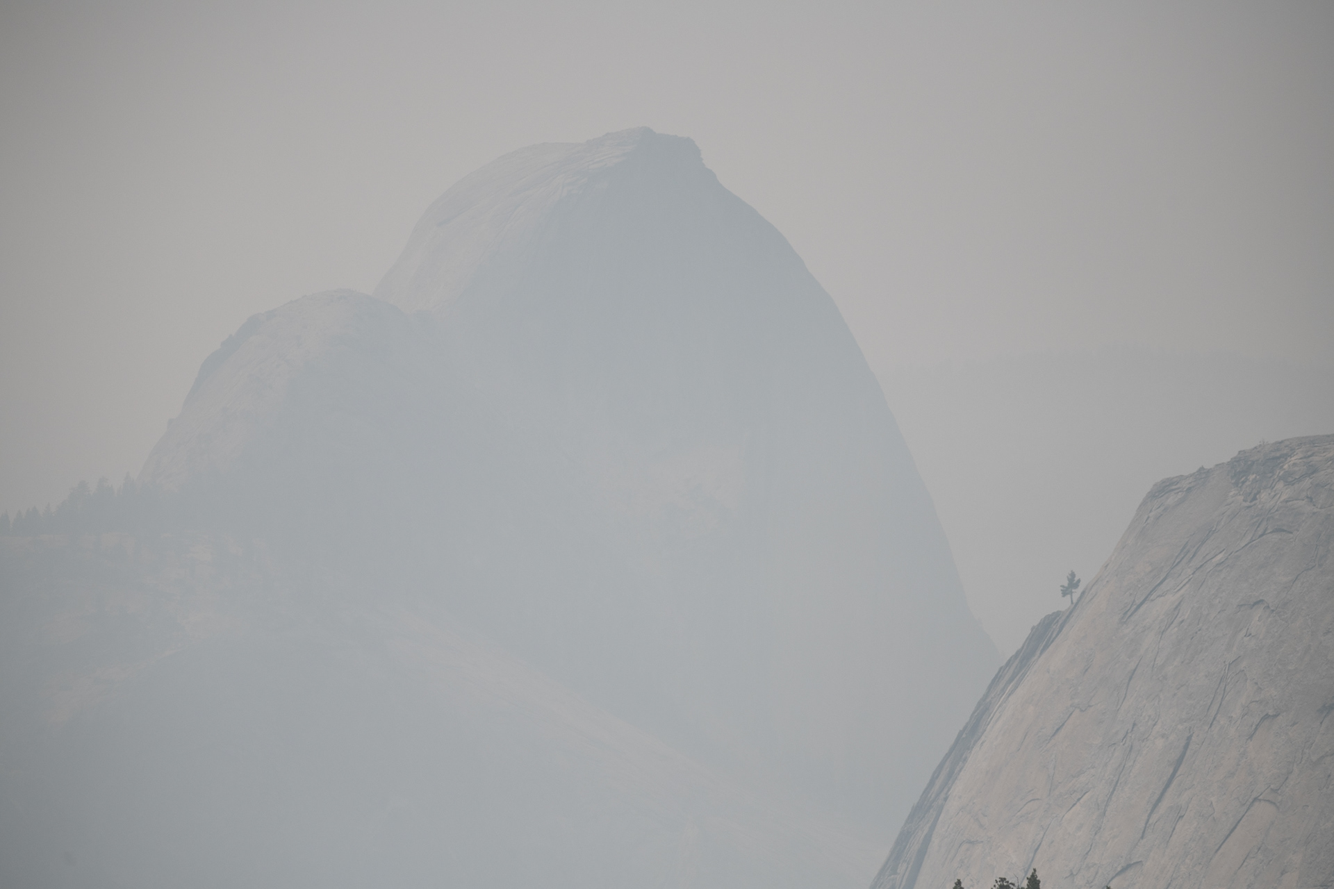 Yosemite - Half Dome - Olmsted point (mirador)