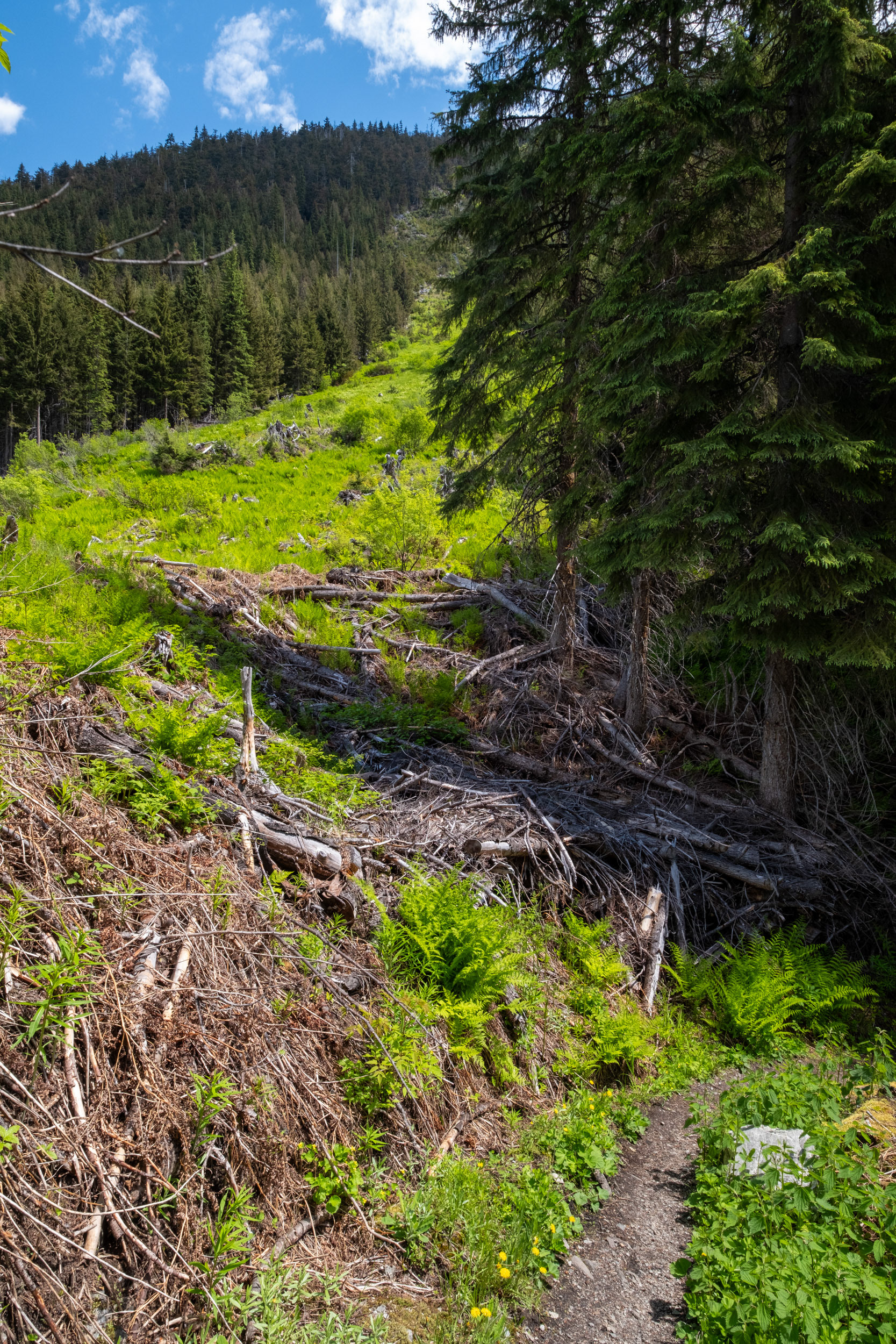 Glacier Nat. Park - bucle Brook - via abandonada del tren