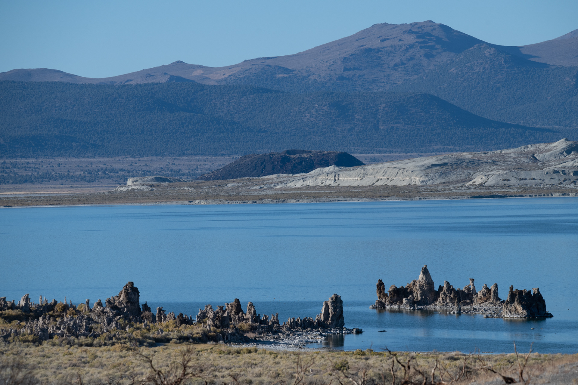Mono Lake - su alcalinidad produce las columnas de toba (fufa en inglés)
