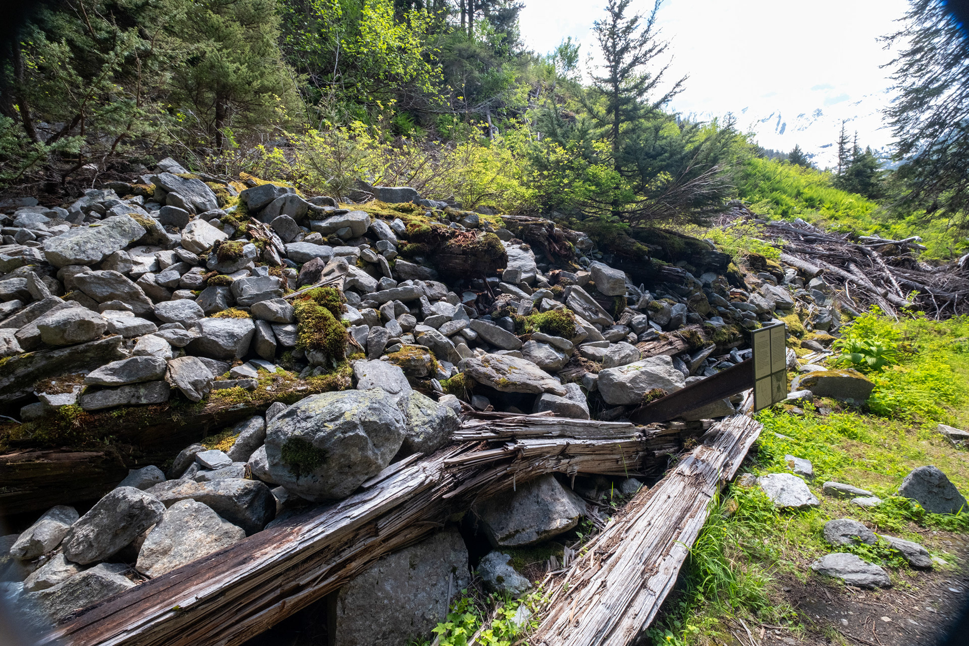 Glacier Nat. Park - bucle Brook - muro anti-avalanchas