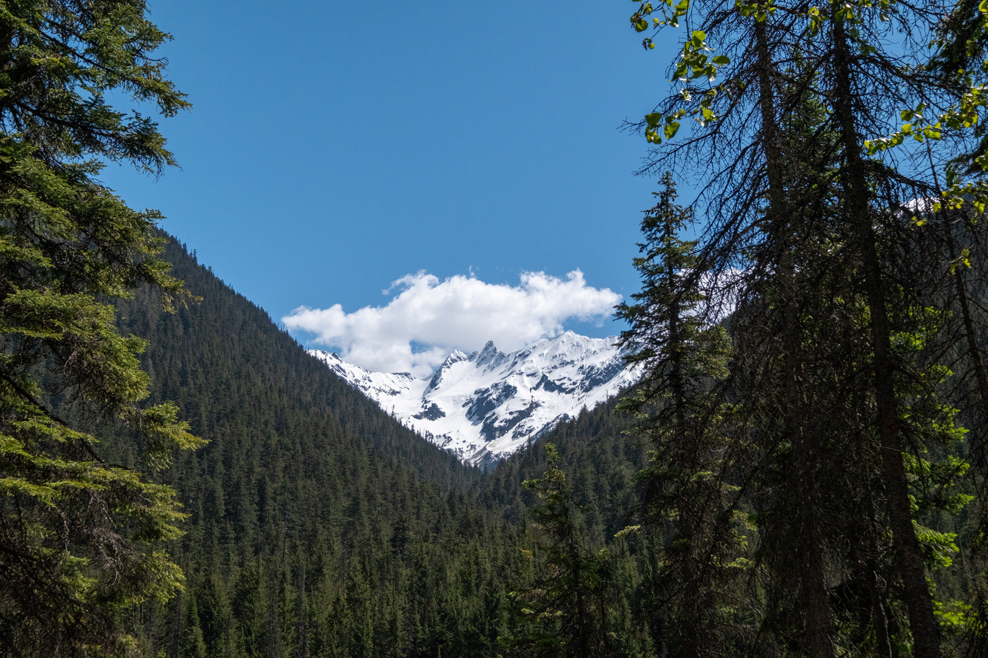 Glacier Nat. Park - "jardín de piedras" (rockgarden)