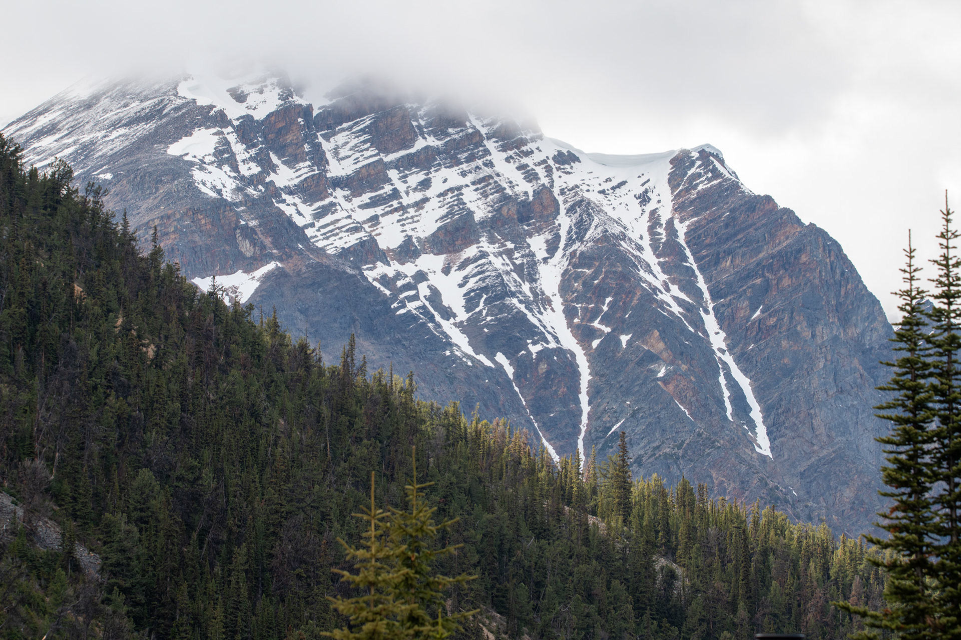 Monte Edith Cavell