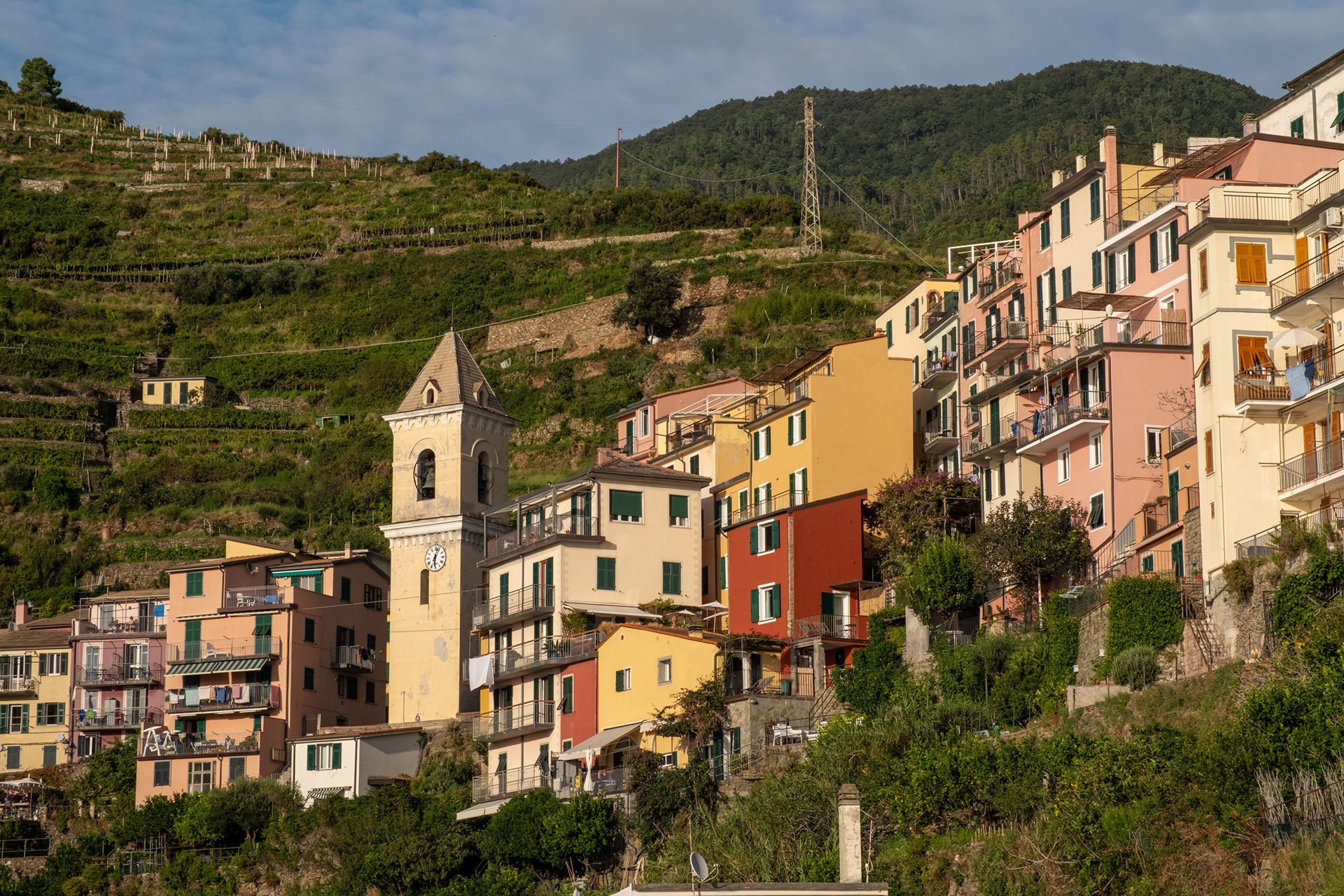 Manarola