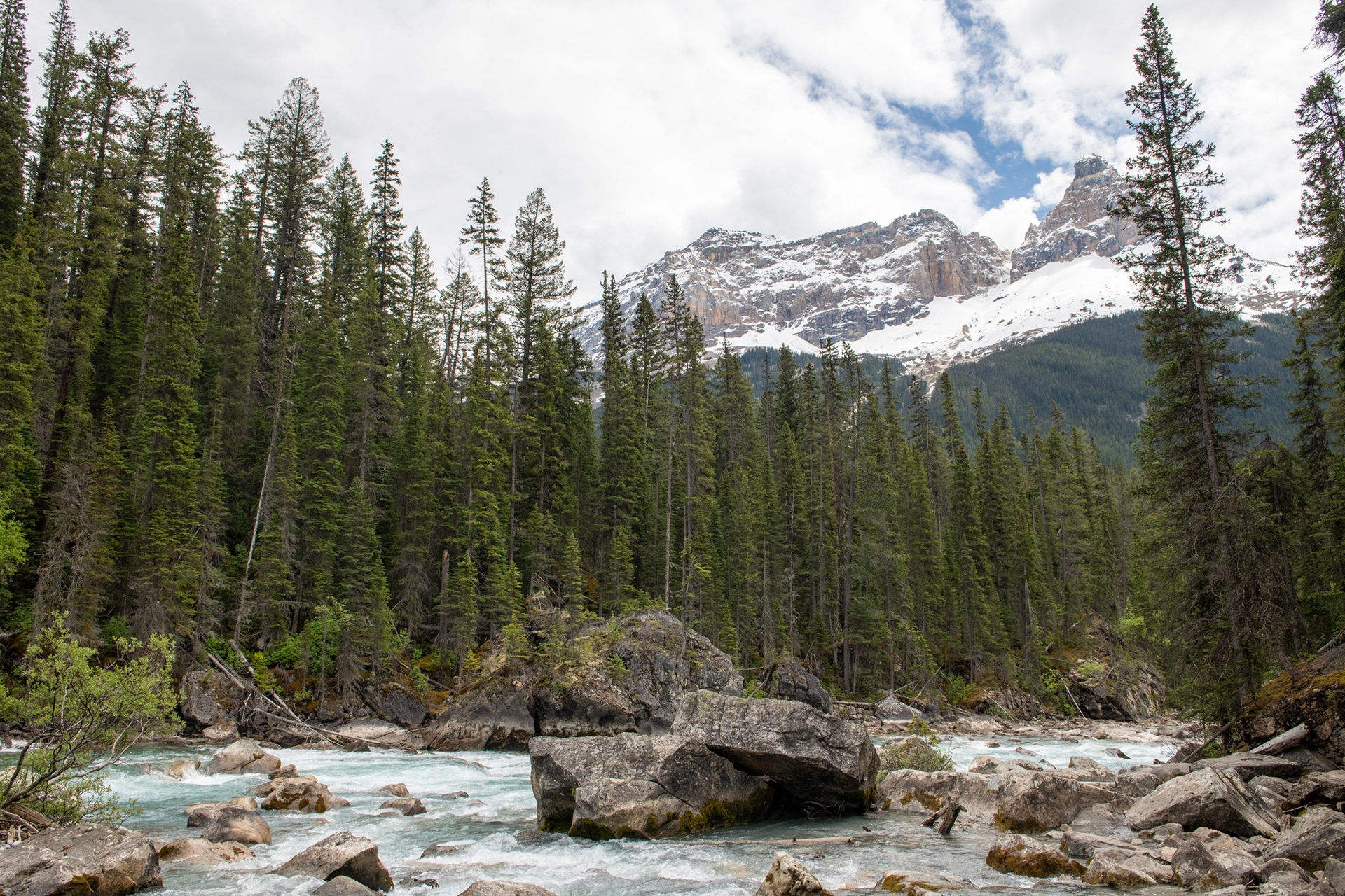 Ríos Yoho y Kicking Horse