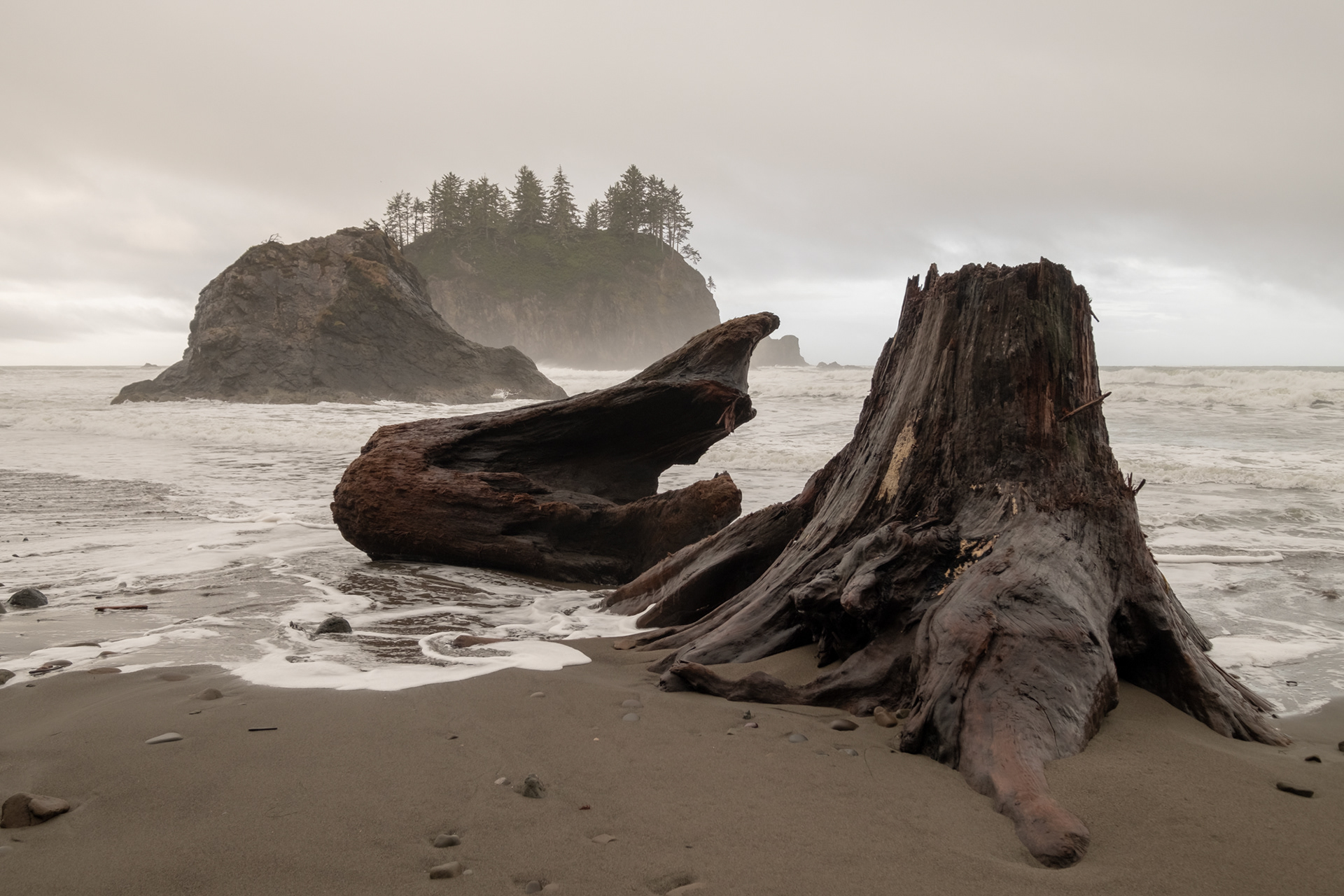 Second Beach, cerca de La Push, WA