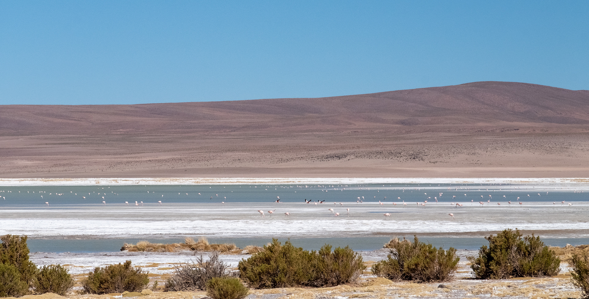 Salar del Huasco
