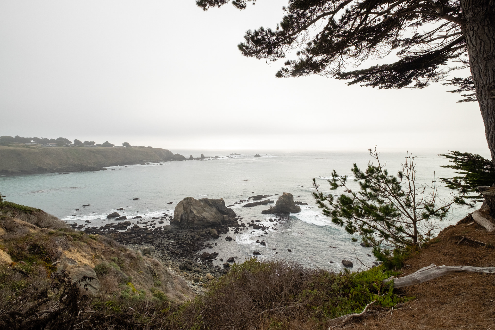 Costa de California, cerca de Mendocino