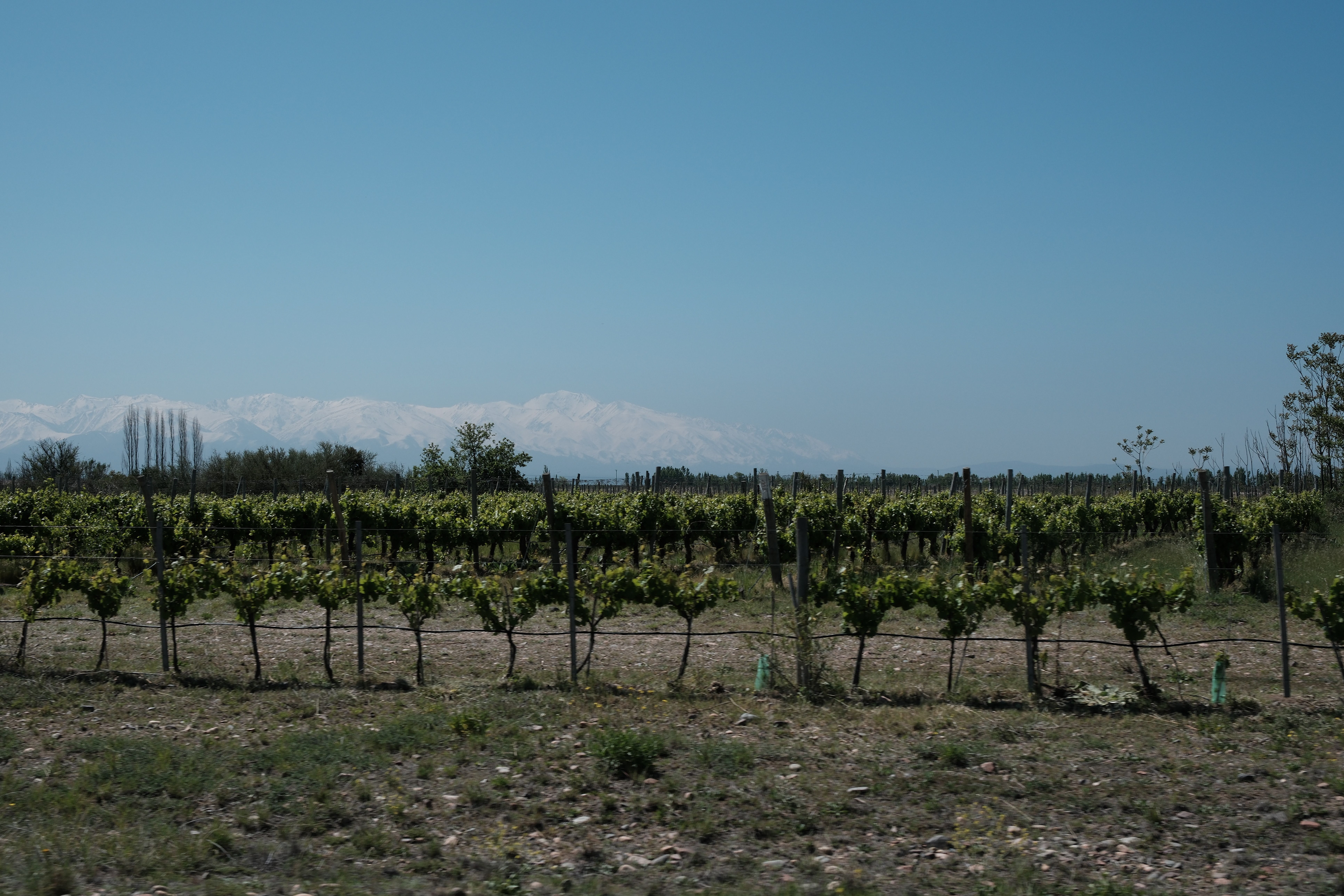 Tunuyan - Valle del Uco