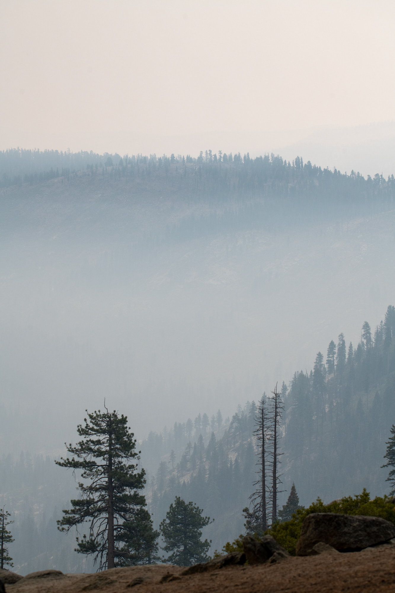 Yosemite - Washburn Point