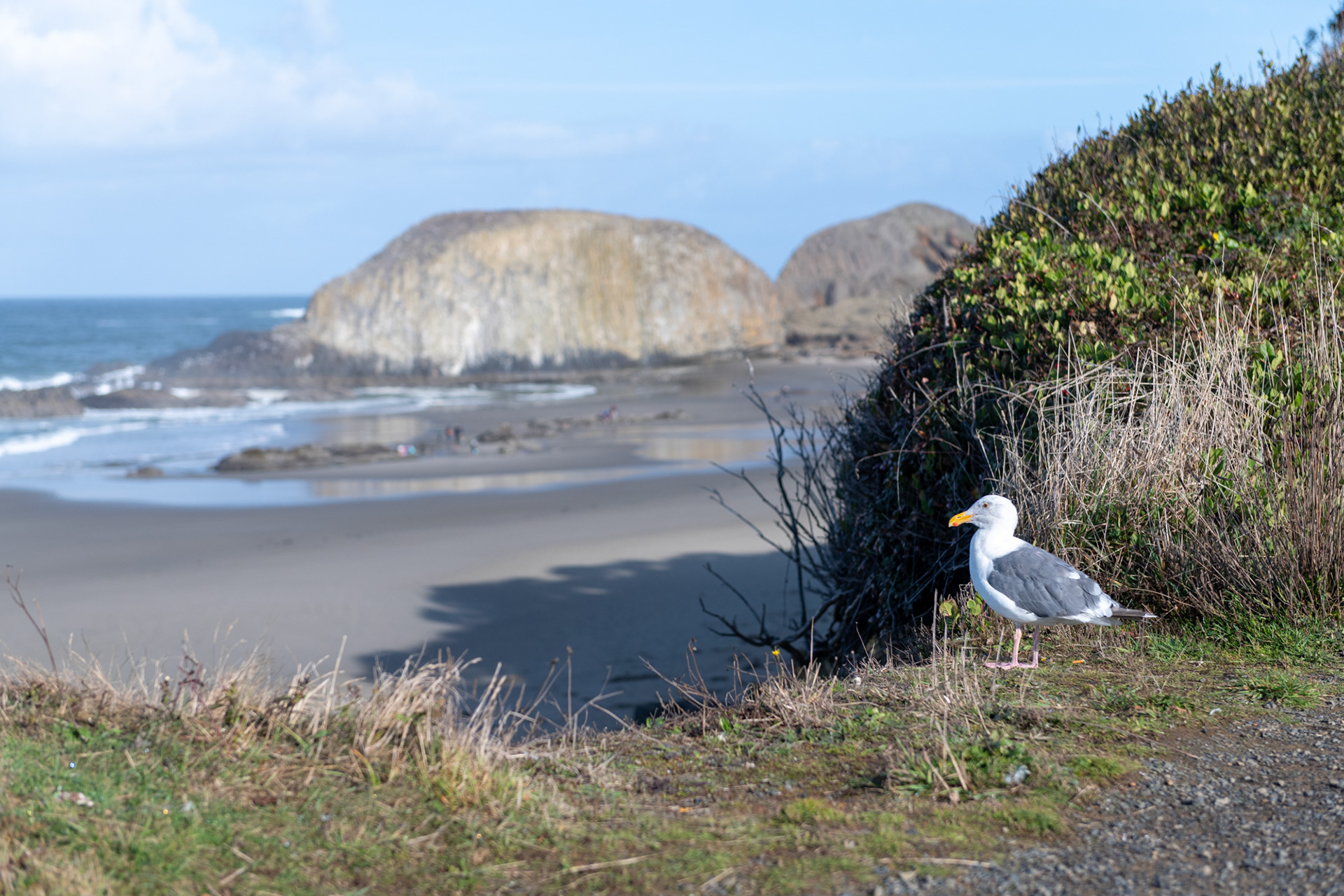 Seal Rock State Recreation Site