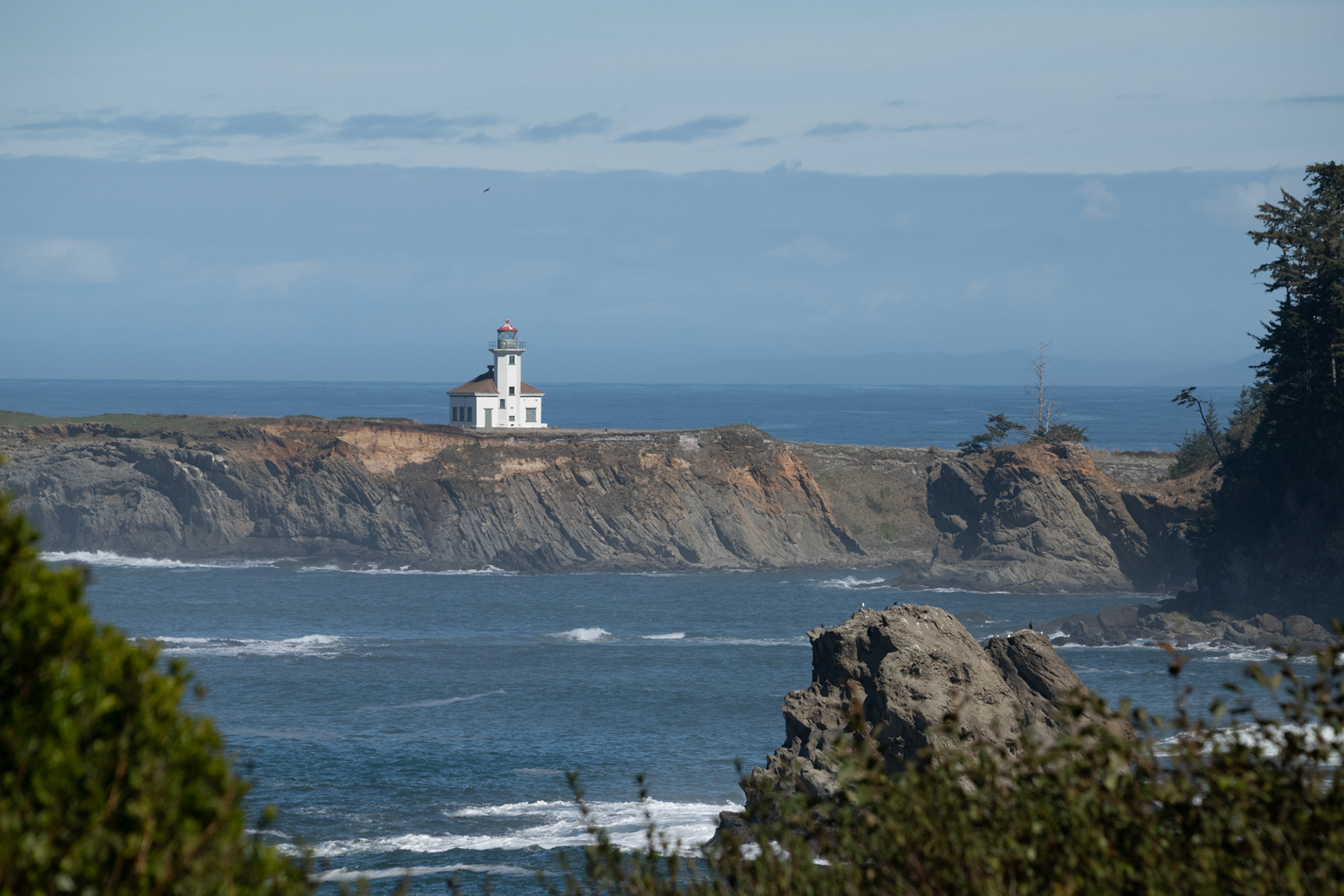 Cape Arago State Park