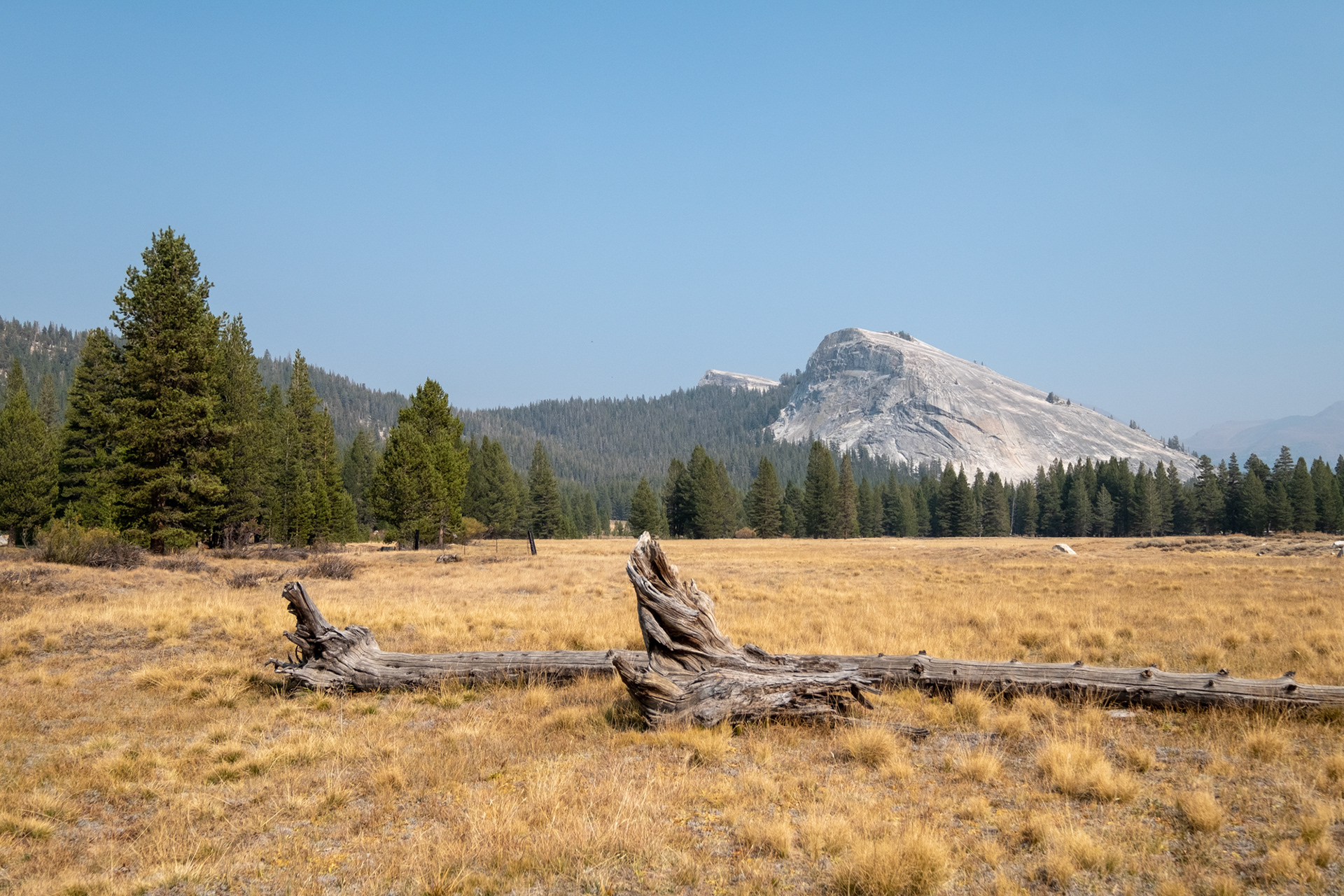 Yosemite - zona de Tuolumne Meadows