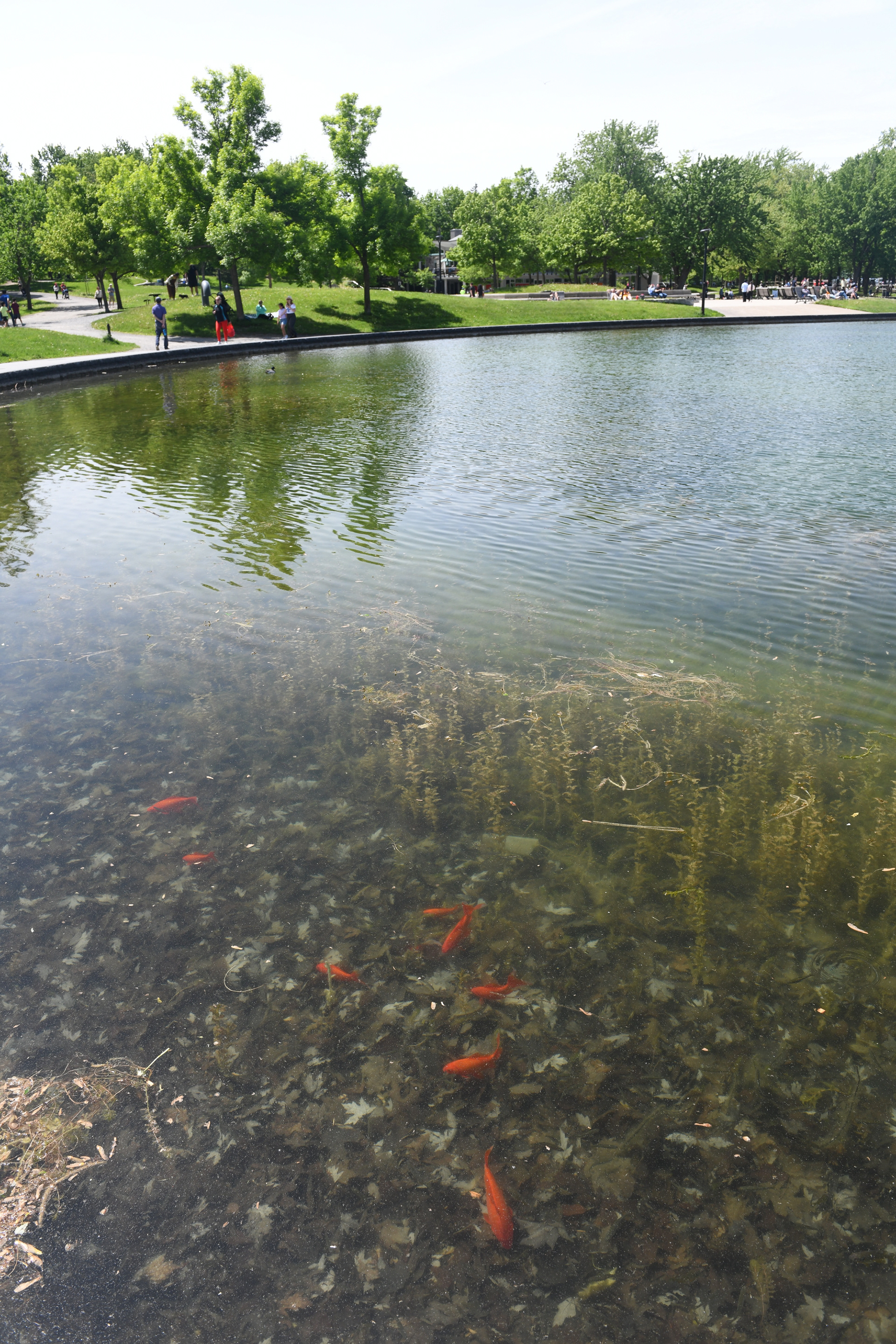 Beaver Lake