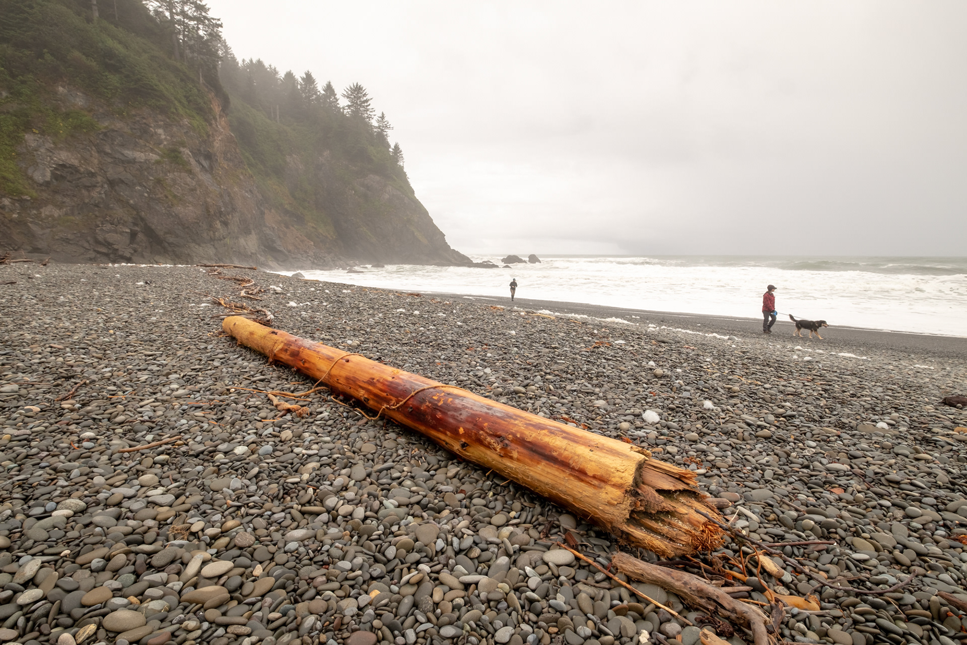 First Beach, cerca de La Push, WA