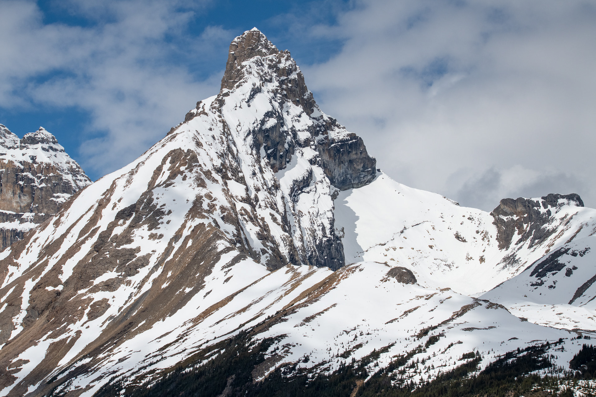 Nevó durante la noche