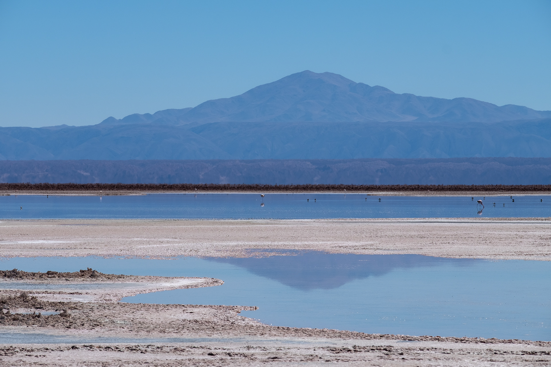 Laguna Chaxa