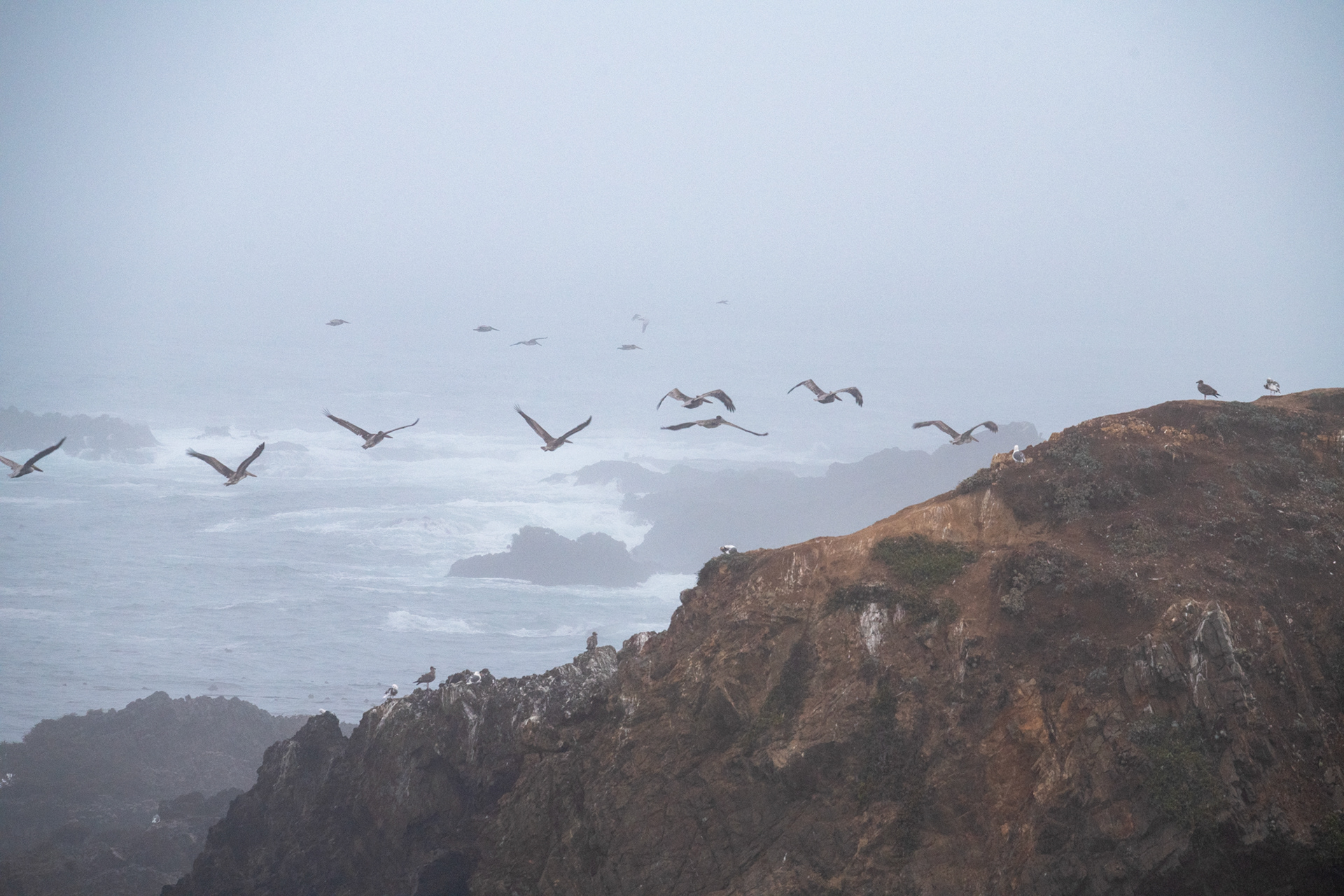 Costa de California, cerca de Mendocino